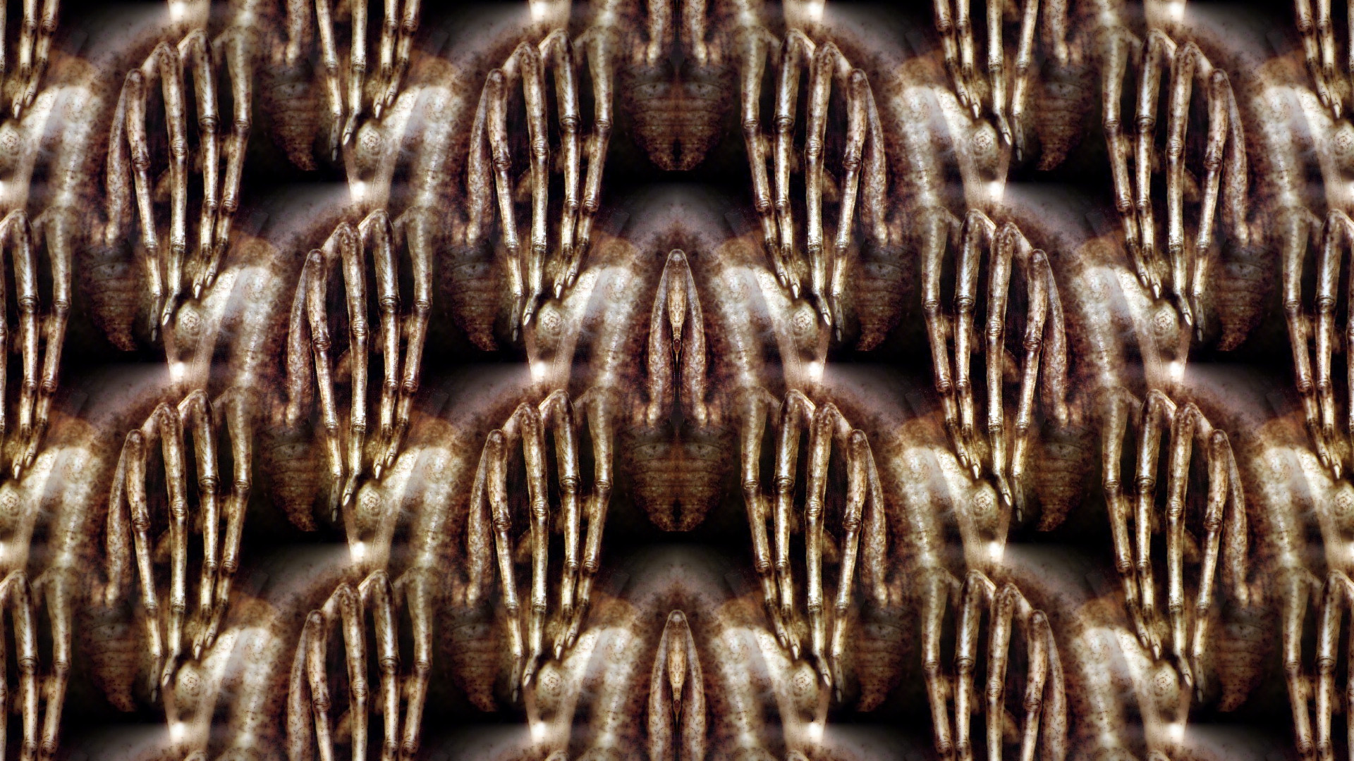 General 1920x1080 symmetry pattern H. R. Giger