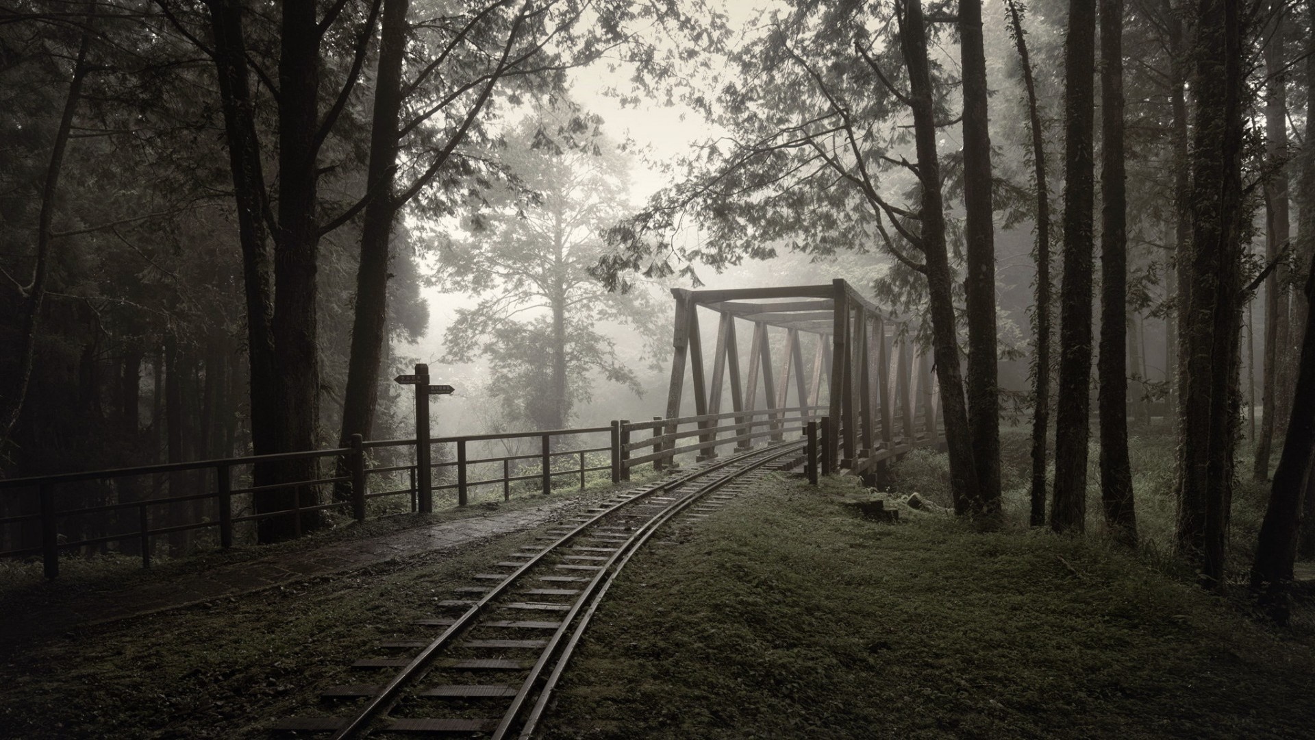 General 1920x1080 architecture bridge railway fence mist nature landscape forest wood grass