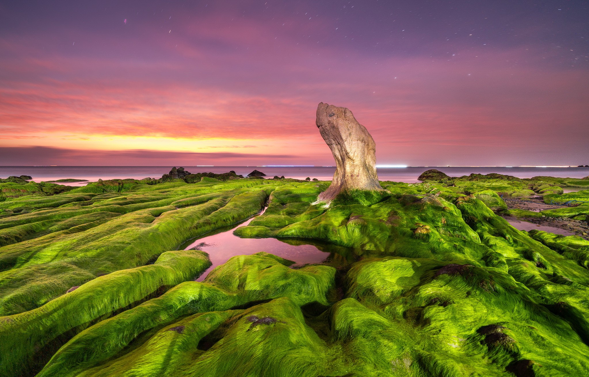 General 2047x1309 sea nature purple sky sunset rocks seaweed dusk landscape