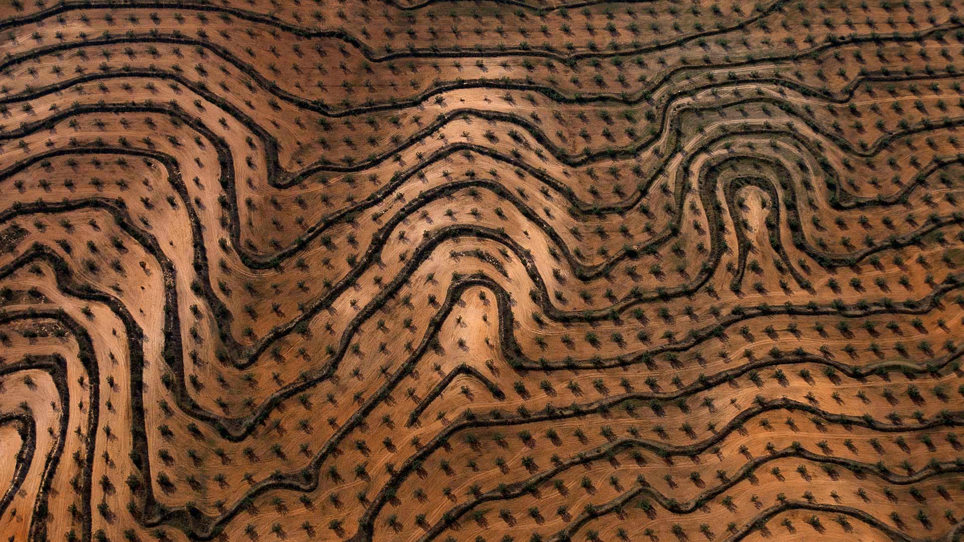 General 1920x1080 landscape abstract texture aerial view brown