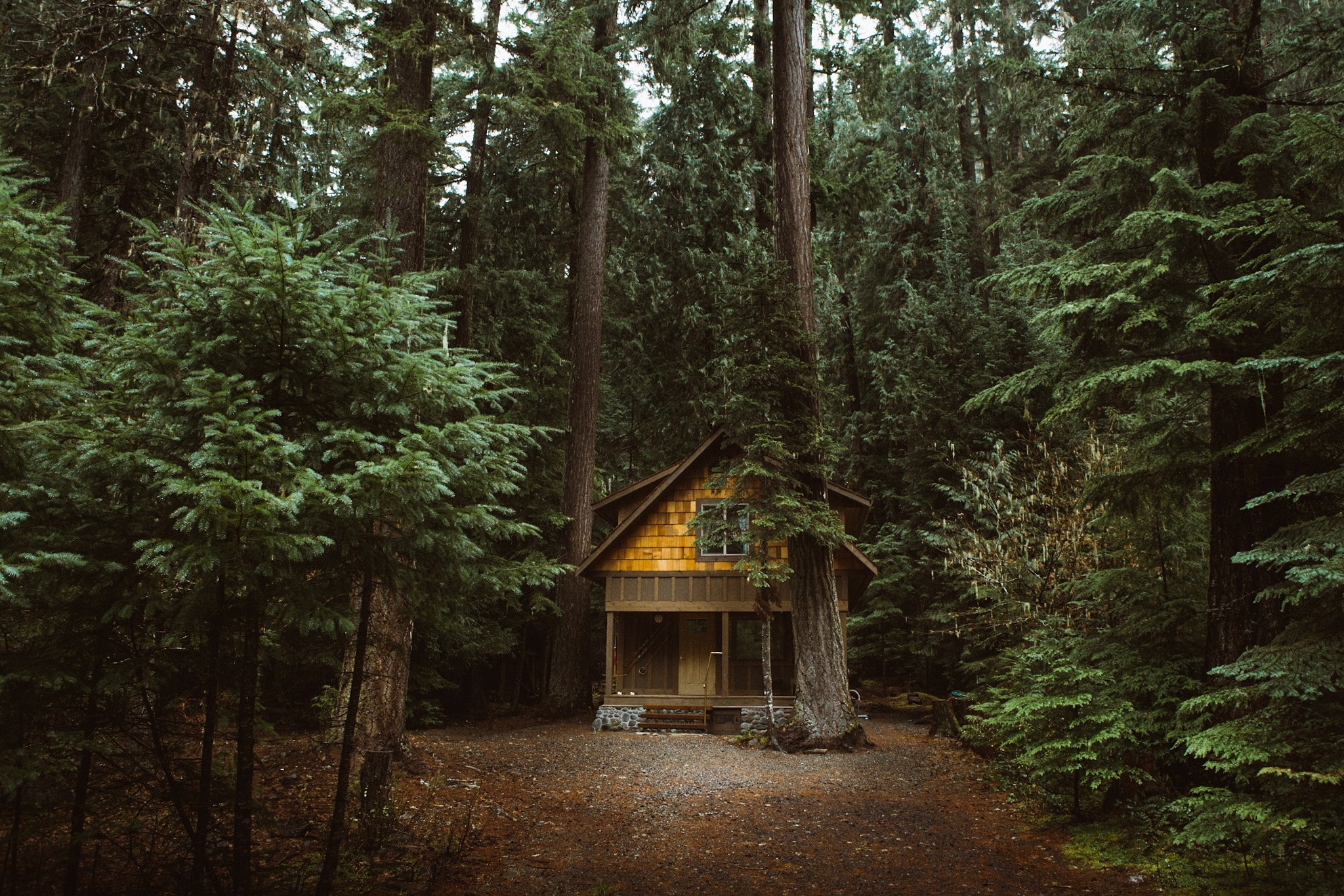 General 2048x1366 forest nature cabin trees