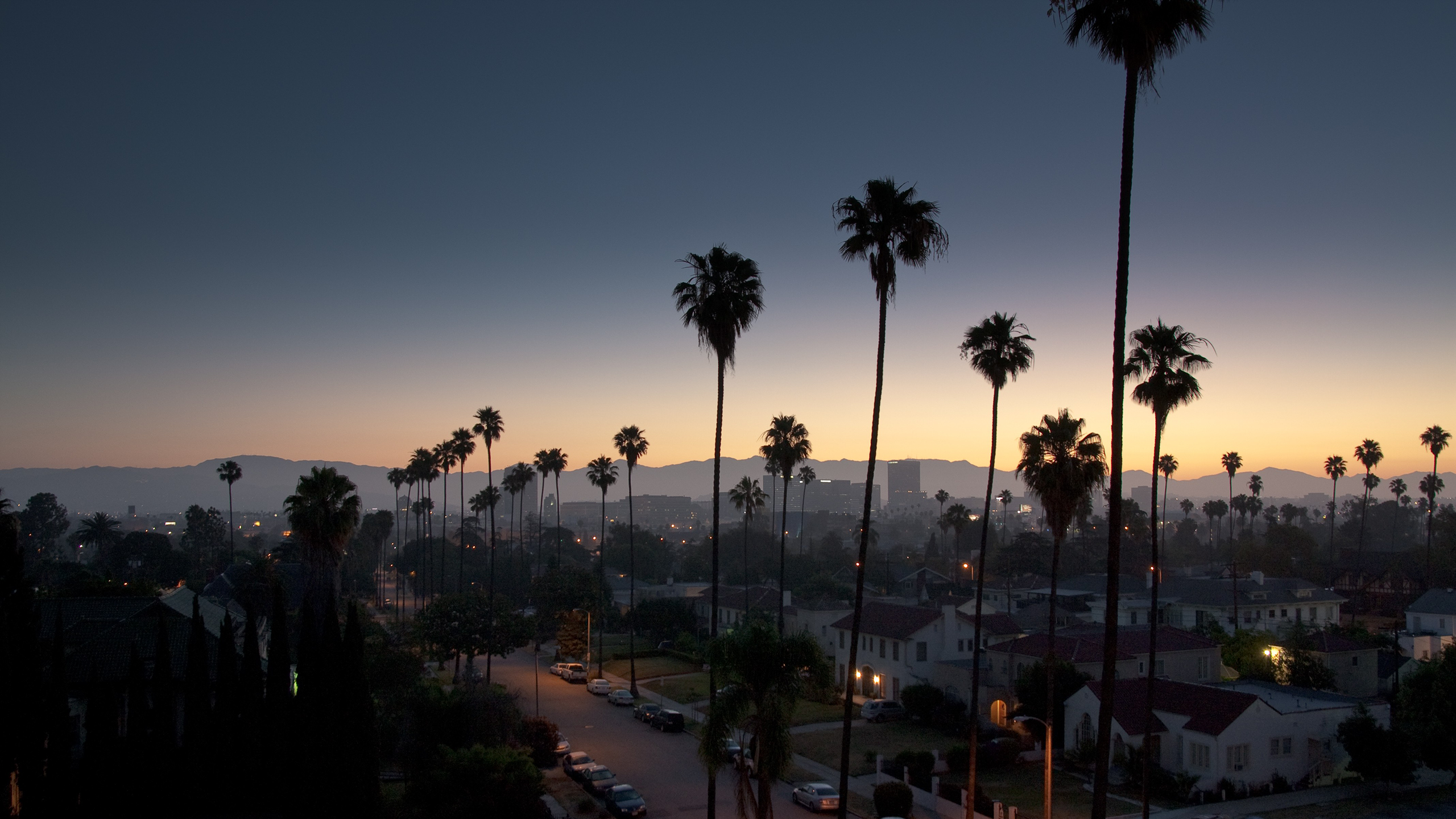 General 2560x1440 sky sunset Los Angeles palm trees cityscape