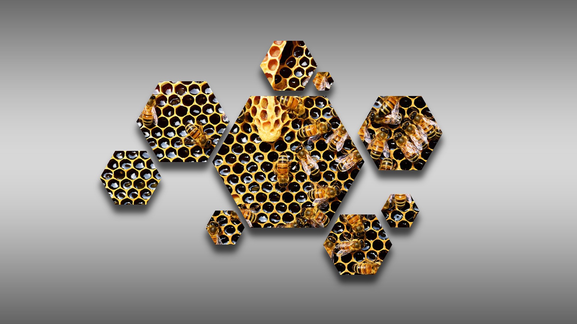 General 1920x1080 hexagon bees hive honeycombs honey beehive patterns digital art animals insect gradient simple background