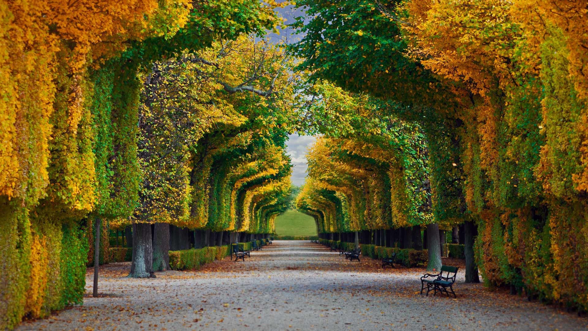 General 1920x1080 nature landscape trees forest fall park bench leaves Vienna Austria path Schloss Schönbrunn garden