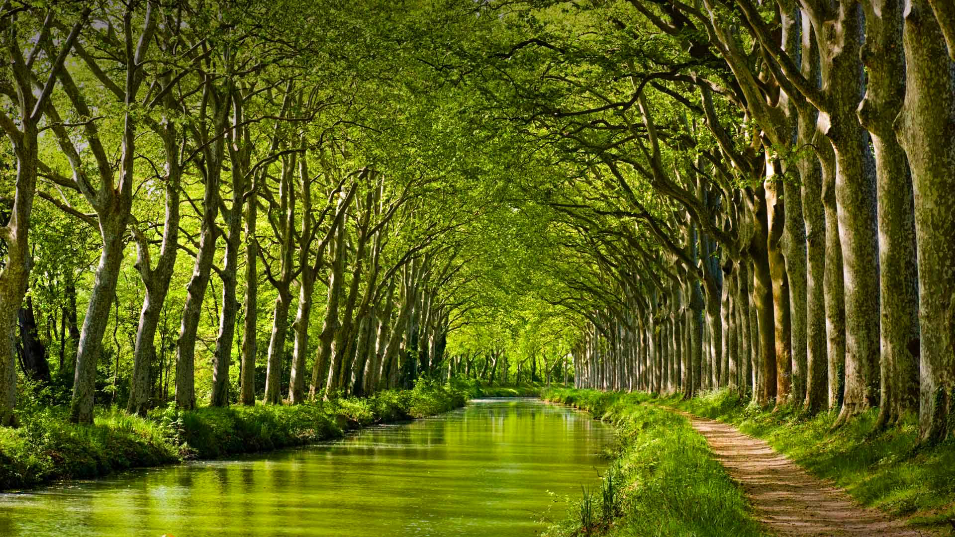 General 1920x1080 nature landscape trees forest branch leaves France river dirt road grass