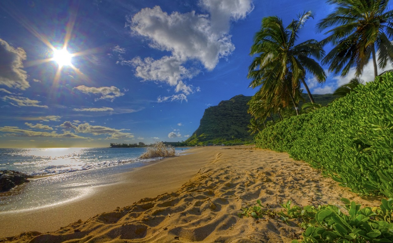 General 1260x781 nature photography landscape beach sand palm trees shrubs hills sea sunlight Hawaii