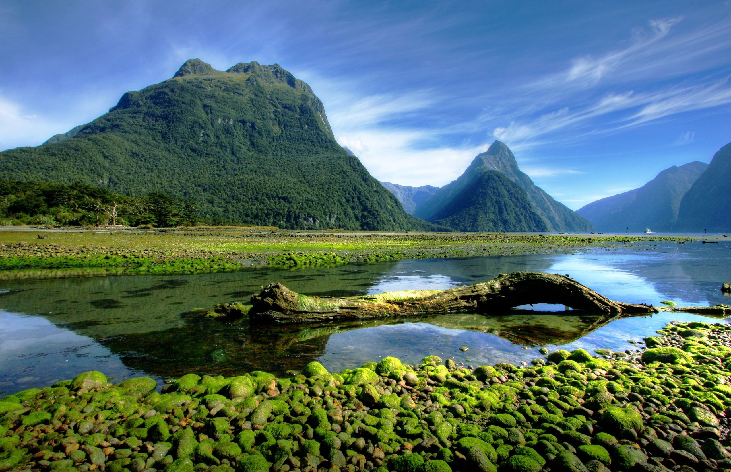 General 2547x1646 landscape photography nature mountains moss Milford Sound fjord national park New Zealand Fiordland National Park