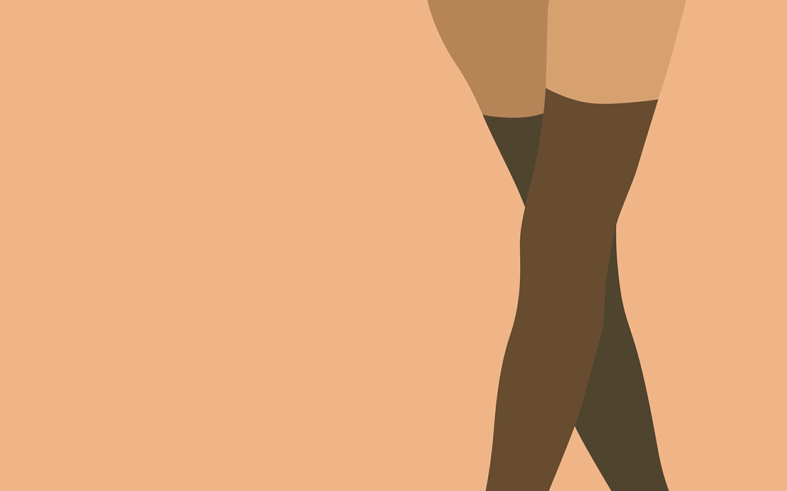 General 2560x1600 abstract legs stockings minimalism simple background