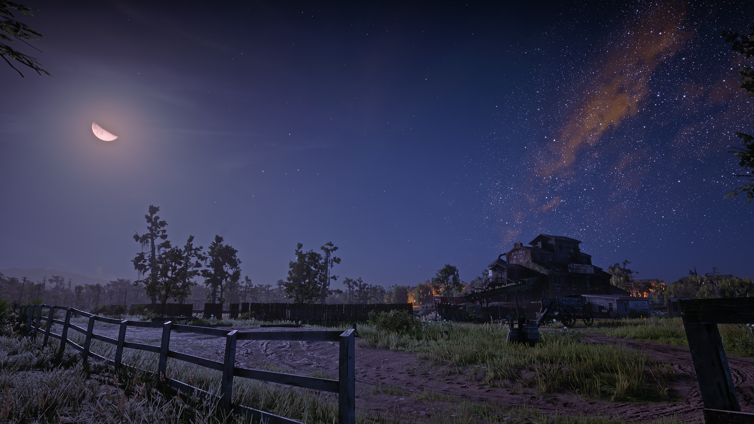 General 2560x1440 Red Dead Redemption 2 Rockstar Games video games nature landscape night sky stars CGI Moon sky