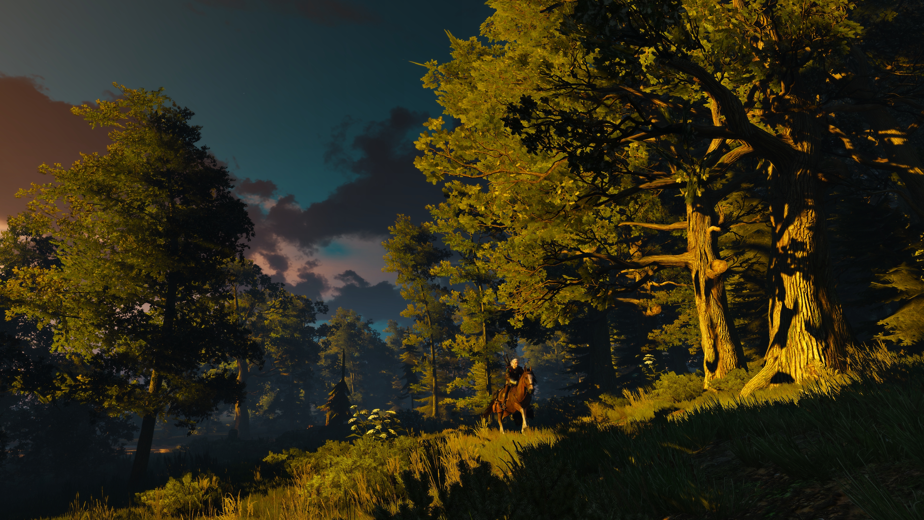 General 3840x2160 The Witcher 3: Wild Hunt PC gaming screen shot forest Geralt of Rivia evening video game art video games trees sky video game characters horseback horse CGI grass sunlight video game men clouds