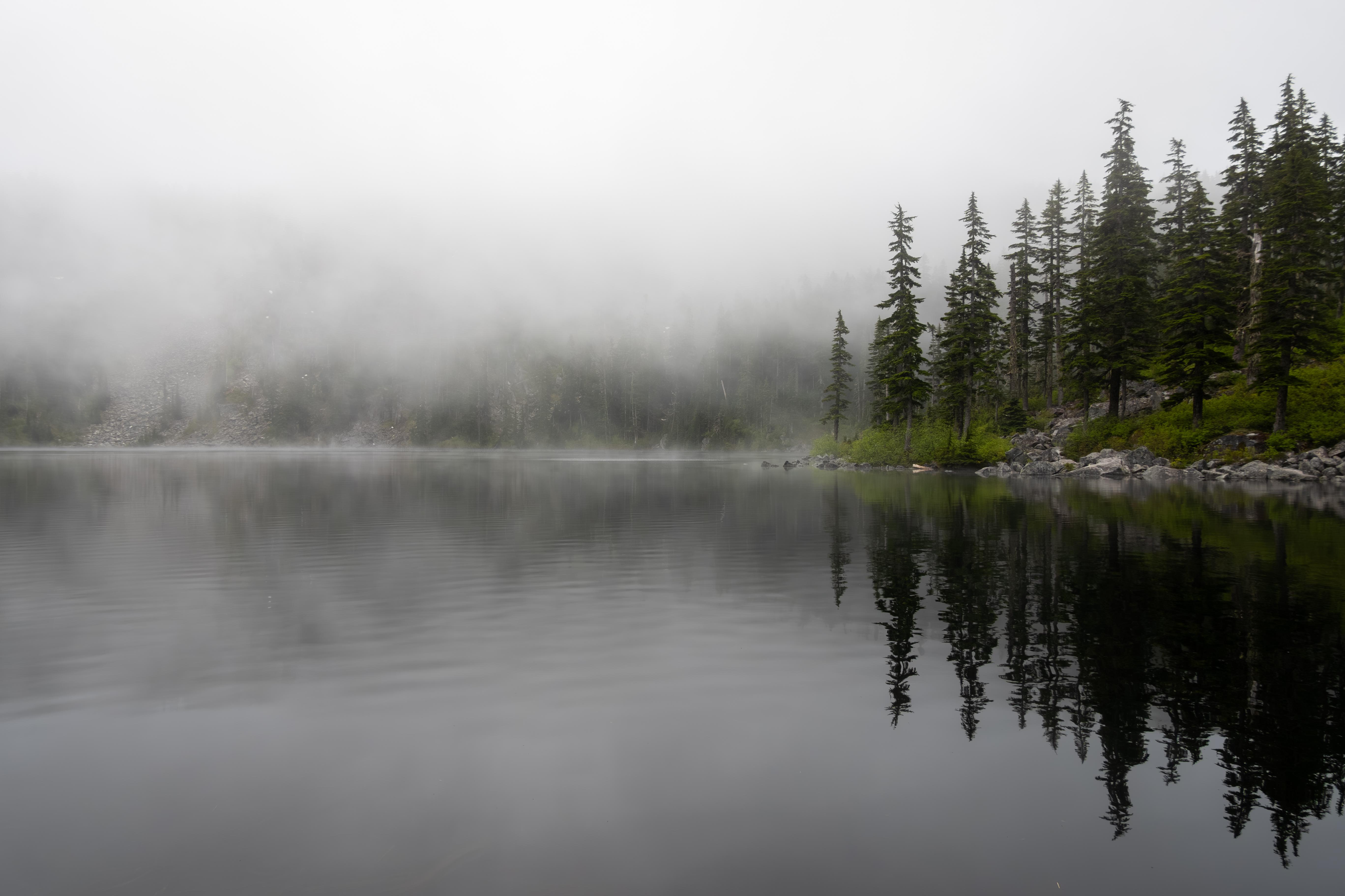 General 5472x3648 fog lake nature landscape forest reflection Washington (state) USA mountains North America