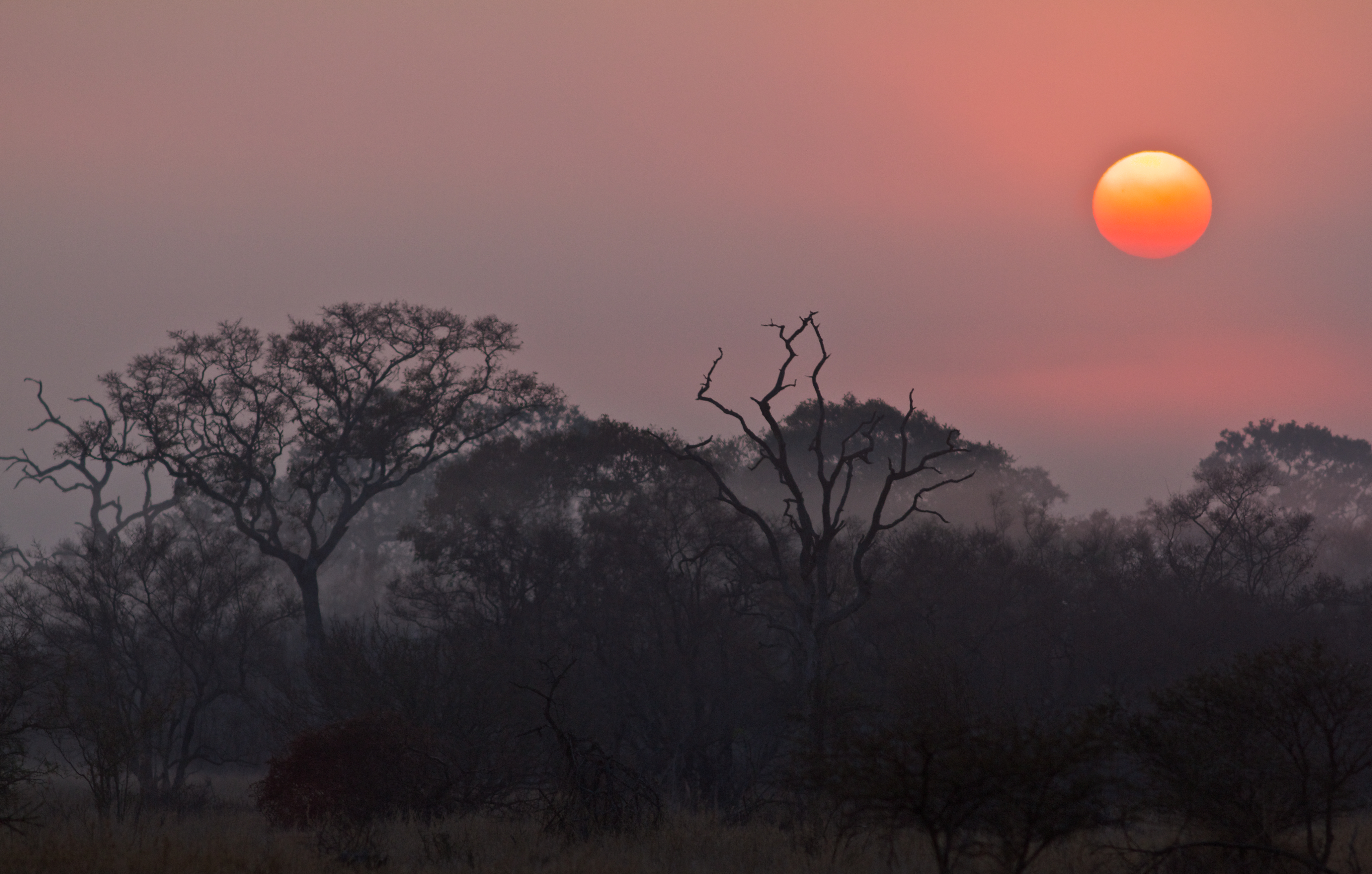 General 4865x3099 sunrise nature Kruger National Park sky Sun trees branch sunlight