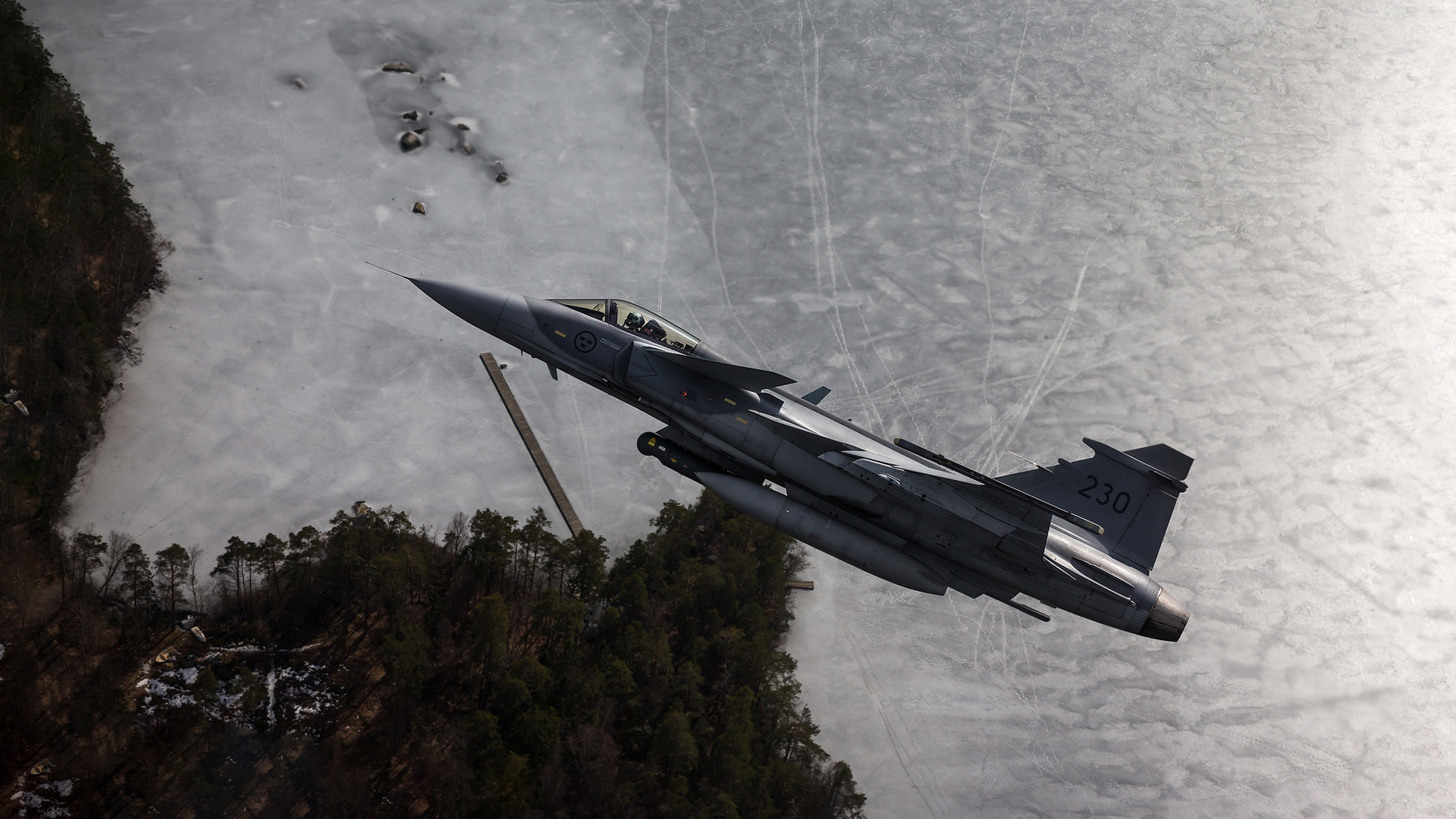 General 1920x1080 jet fighter military aircraft weapon JAS-39 Gripen saab Swedish aircraft flying trees water military aircraft missiles aerial view jetty side view