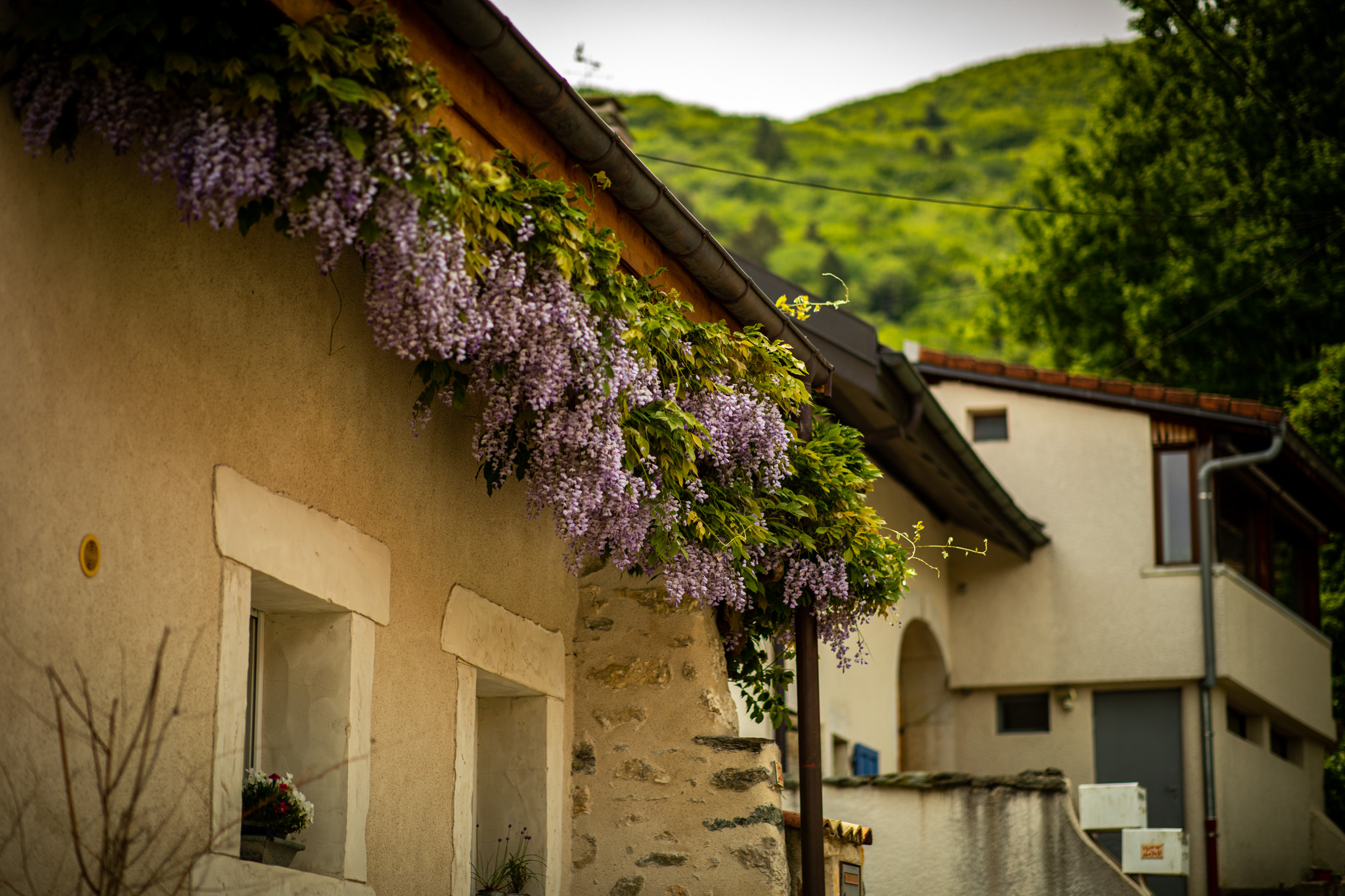 General 2048x1365 photography outdoors trees flowers building village architecture