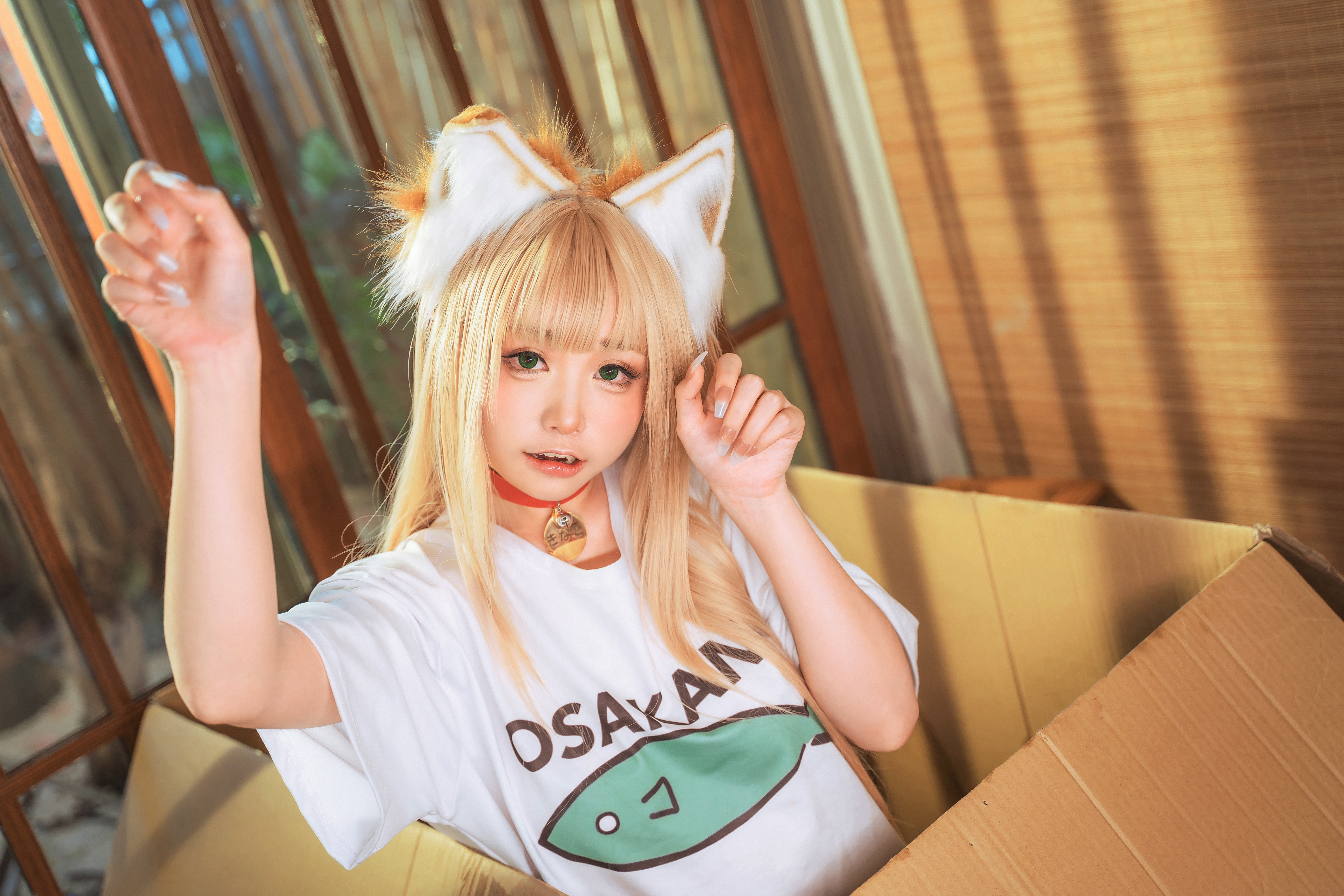 People 6000x4000 cat girl women Asian cosplay Kinako Neko Koyoshi T-shirt white tops