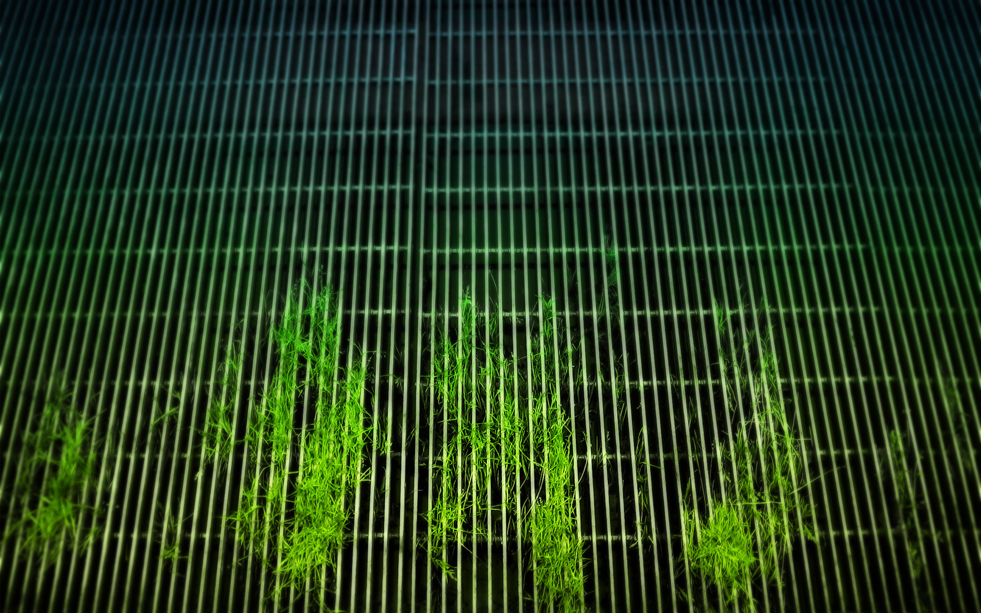 General 1920x1200 green nature plants grid grass metal metal grid closeup