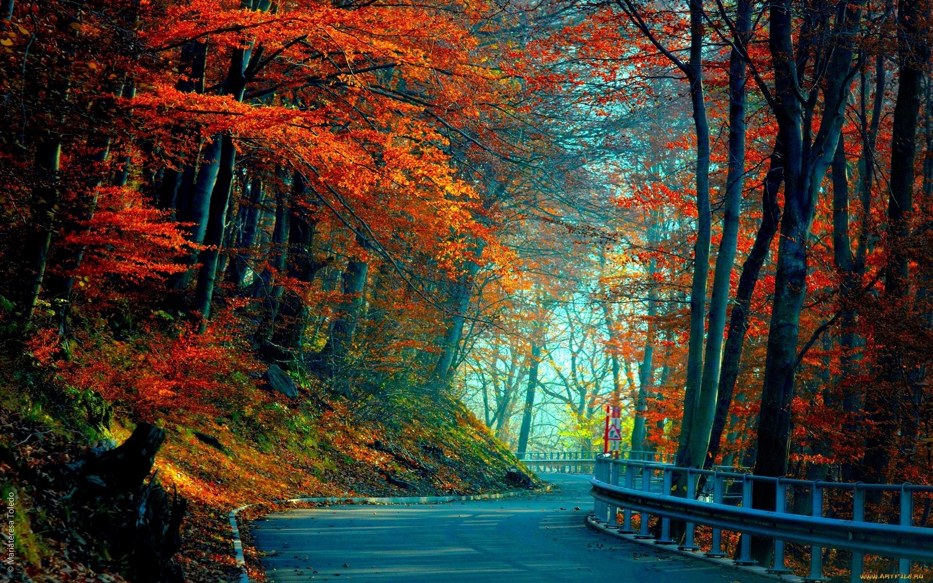 General 1920x1200 fall road trees red leaves watermarked asphalt landscape nature fallen leaves