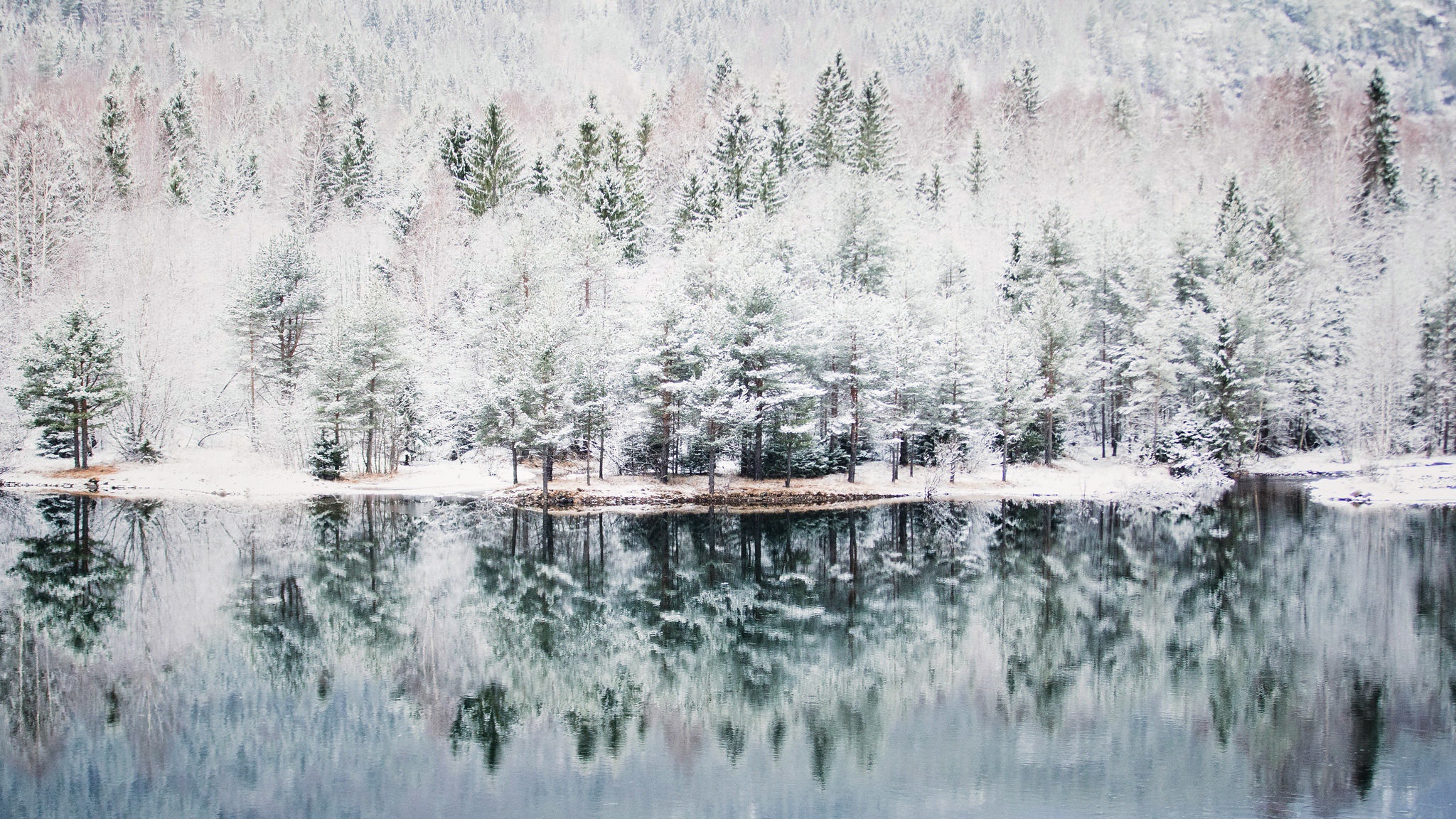 General 2048x1152 winter snow water reflection trees nature Norway bright