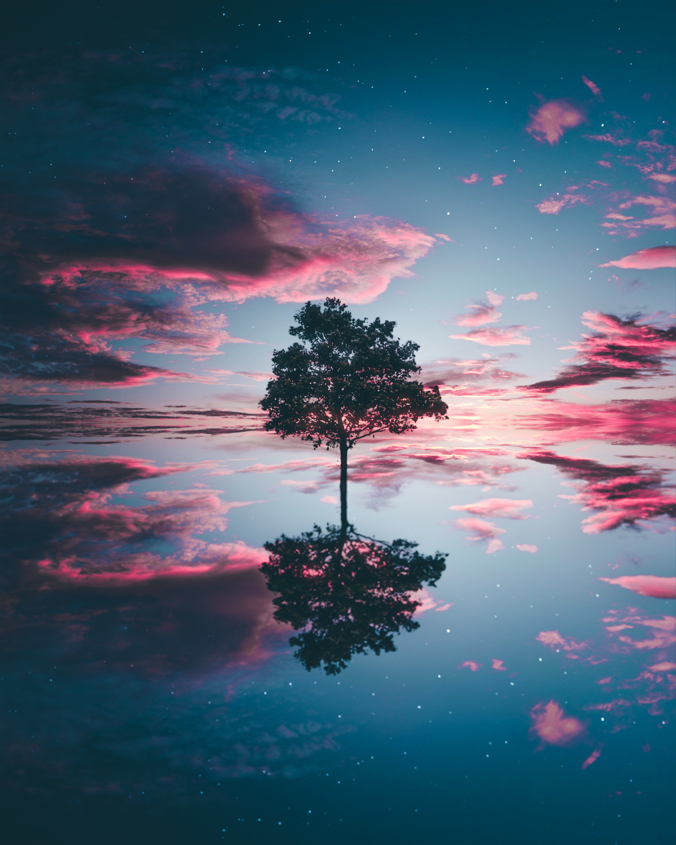 General 2160x2700 stars nature sky reflection water clouds symmetry trees pink low light portrait display