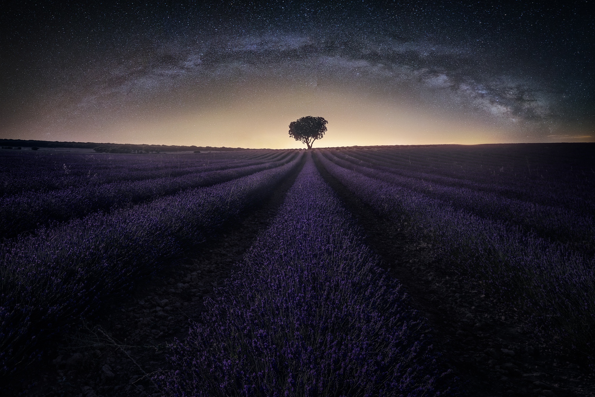 General 2000x1334 dark field landscape trees sky stars Milky Way lavender horizon