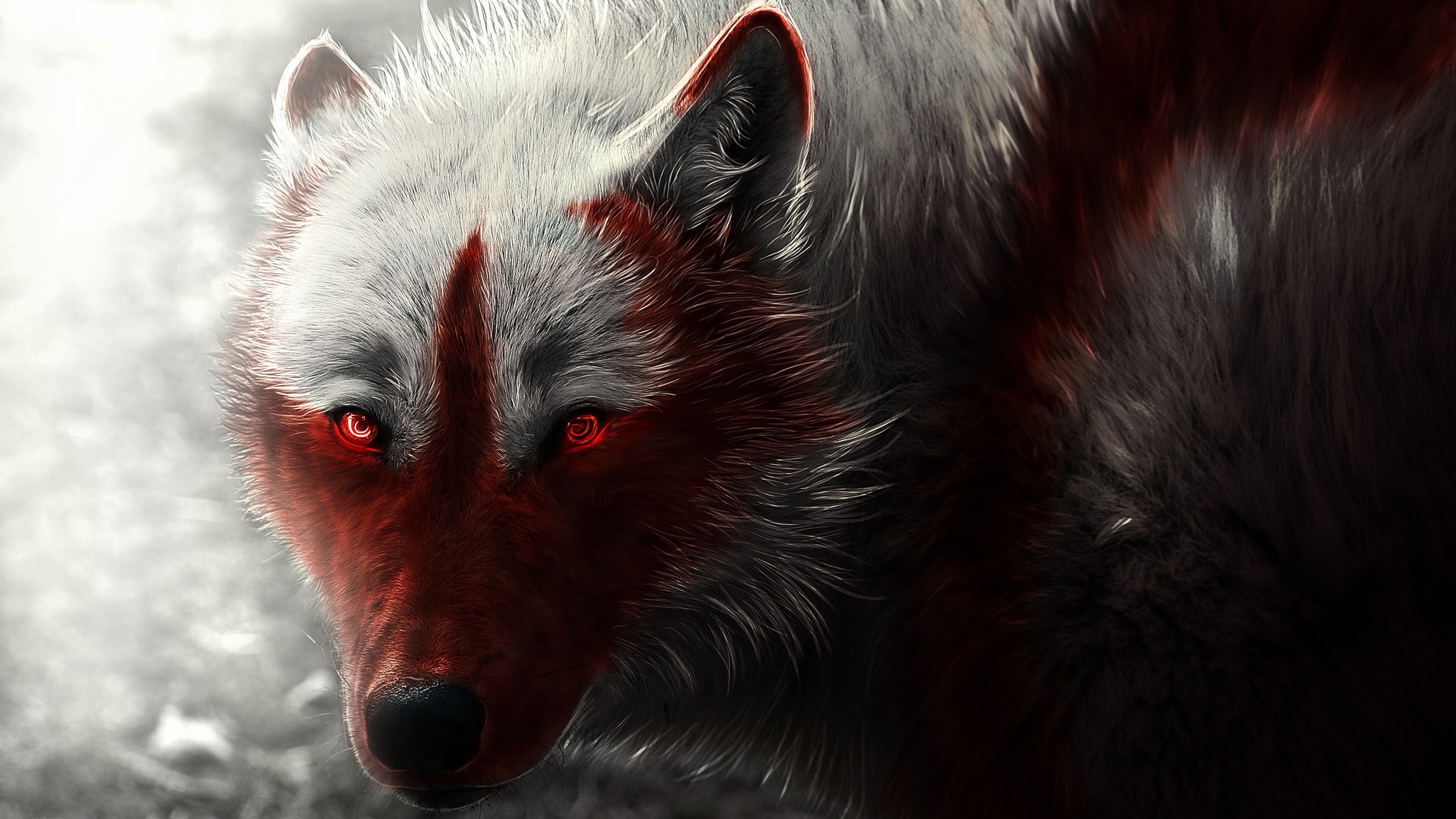 General 2560x1440 wolf white animals artwork red eyes creature