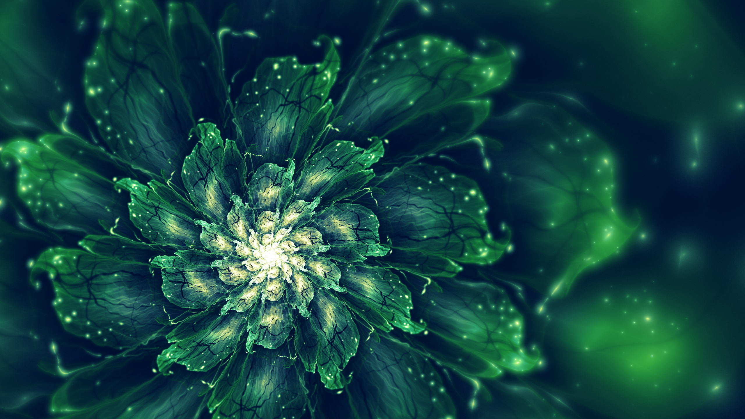 General 2560x1440 flowers fractal flowers fractal abstract