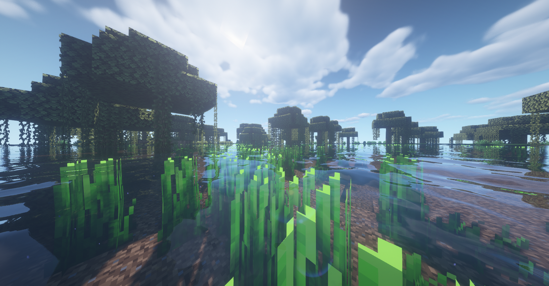 minecraft scenery with shaders