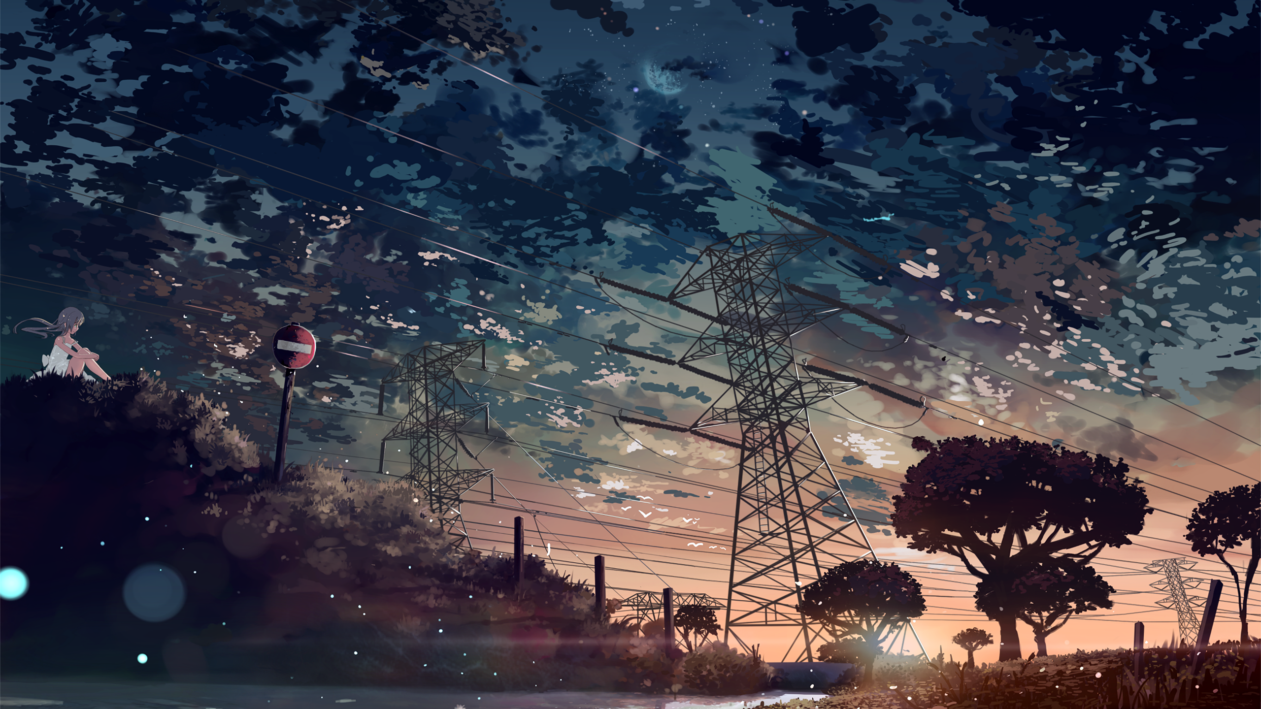 Anime 2560x1440 anime clouds trees digital art artwork sky power lines sunset anime girls Kein Tan