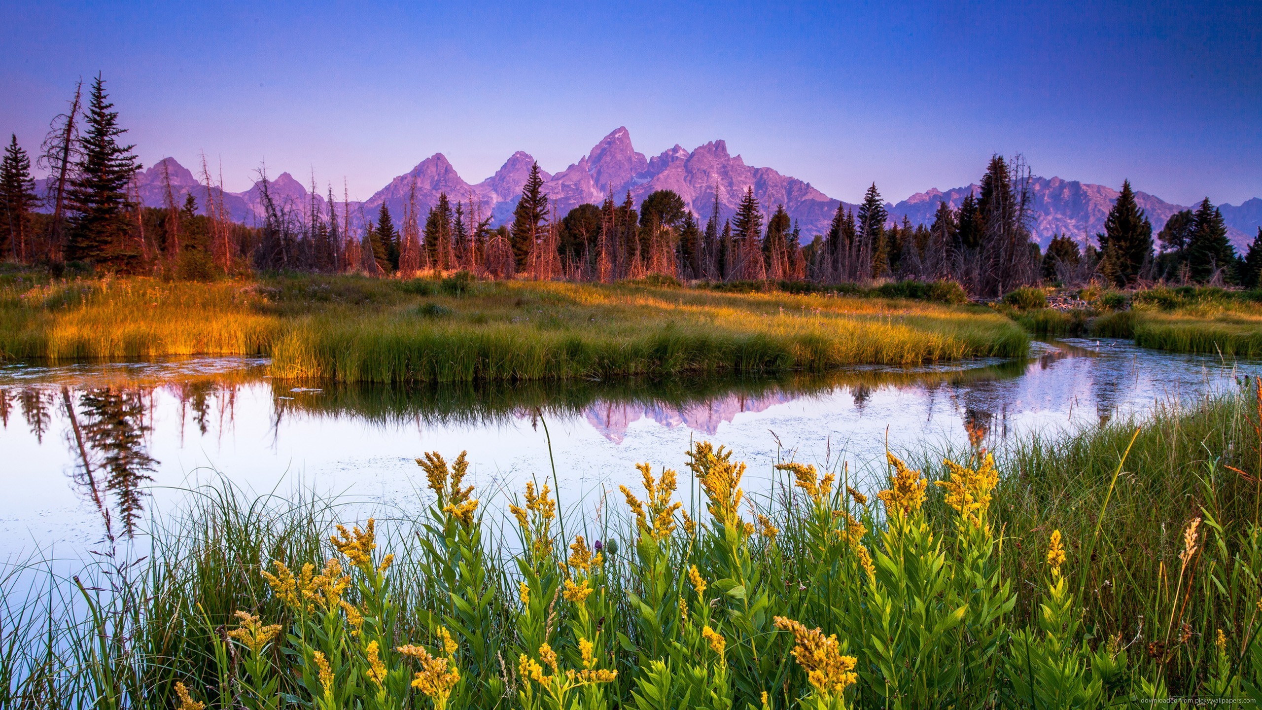 General 2560x1440 flowers mountains river water landscape grass