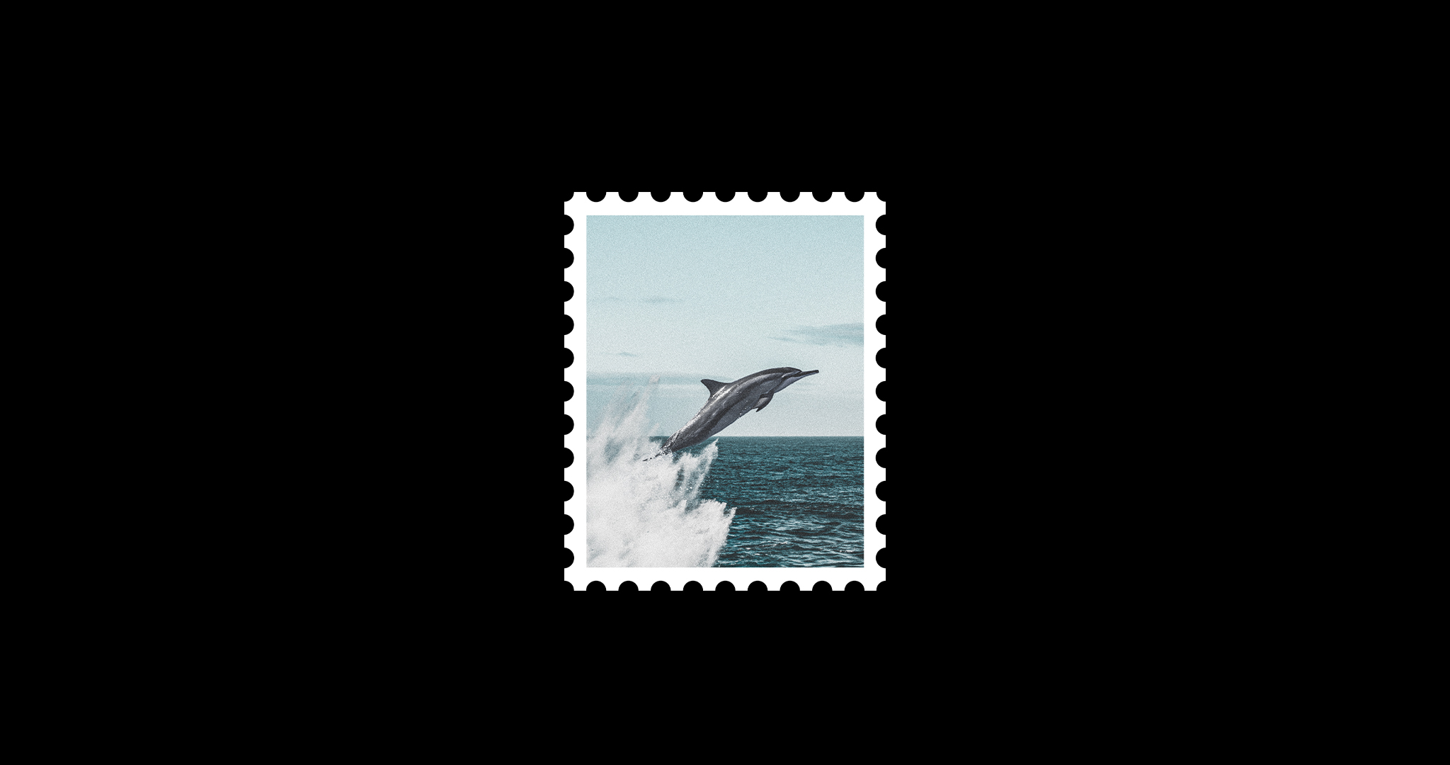General 2048x1080 postcard noise graphic design photoshopped digital art black white stamps dolphin