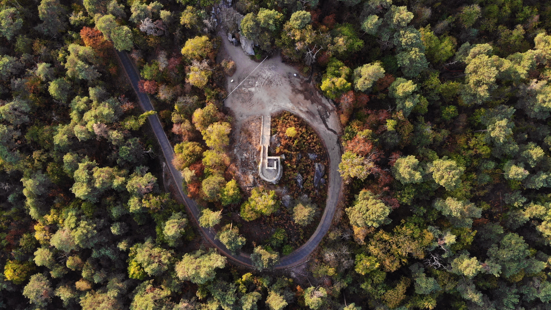General 1920x1080 nature landscape trees plants grass rocks forest road aerial view drone photo