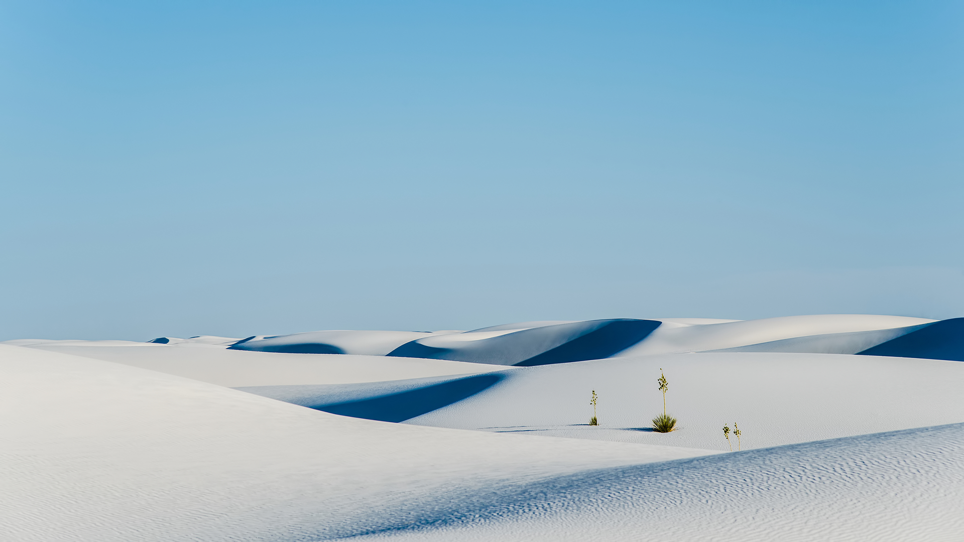 General 1920x1080 desert sand dunes plants landscape
