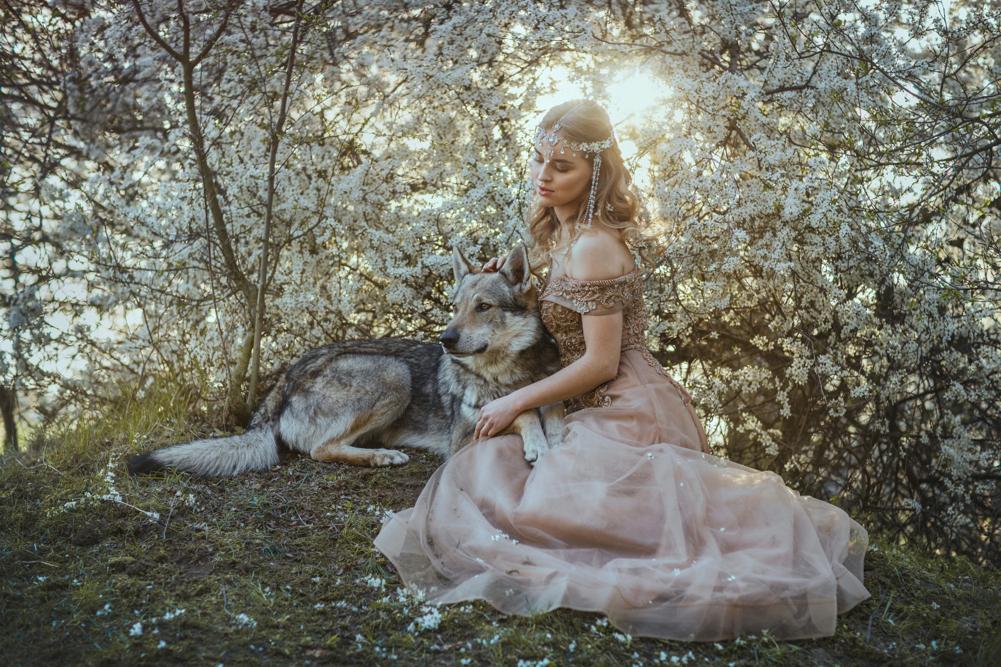 People 2000x1333 women model fantasy girl dog animals mammals dress women outdoors plants blonde czechoslovakian wolfdog