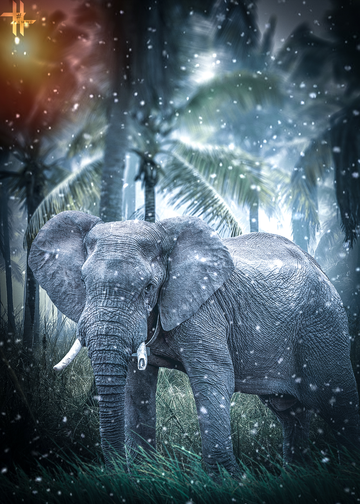 General 1500x2100 elephant animals jungle forest Saveanimals nb n3 ashnb Tamilan