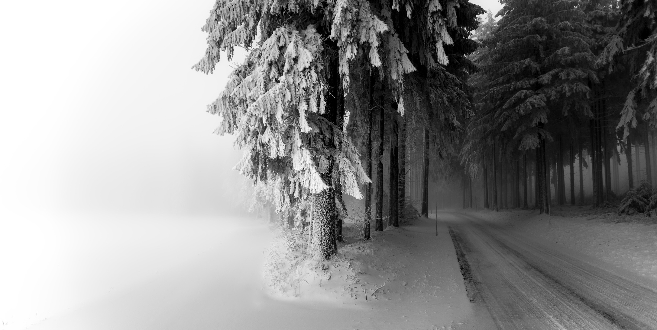 General 2174x1094 snow winter trees road outdoors monochrome forest