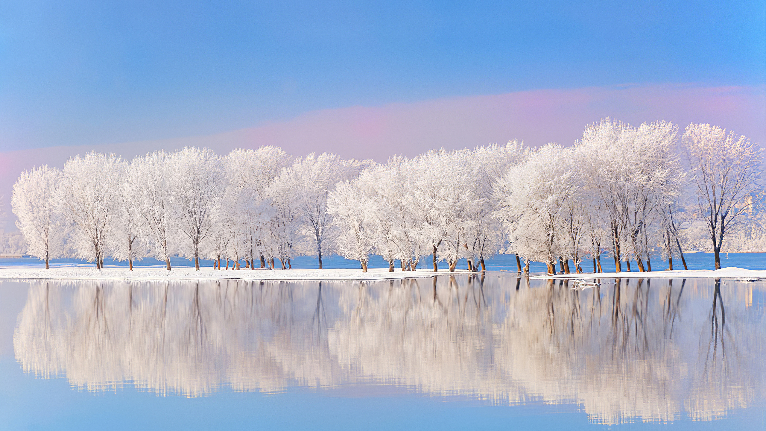 General 2560x1440 nature landscape water trees snow cold daylight white reflection