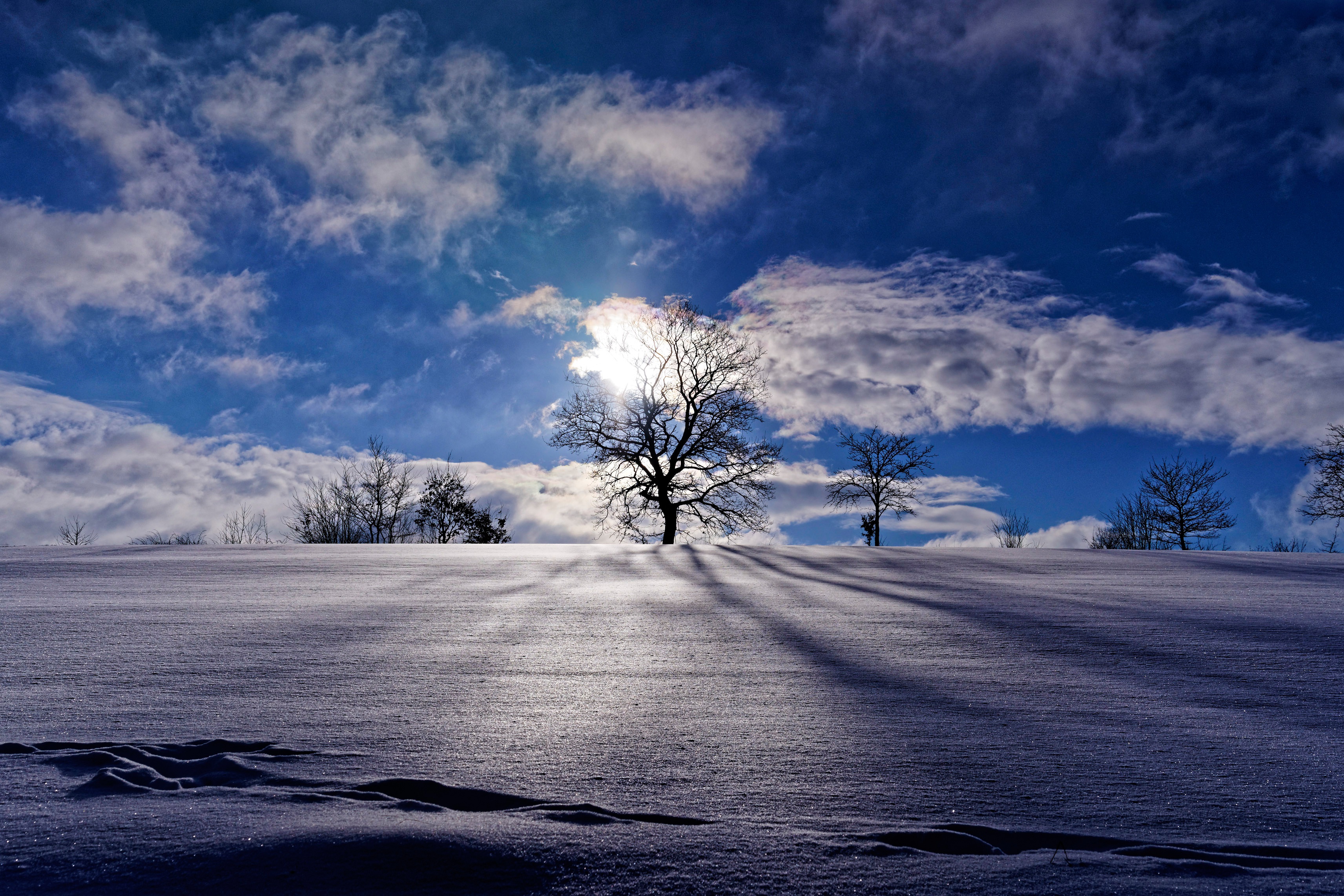 General 3425x2285 landscape nature blue sky winter snow trees