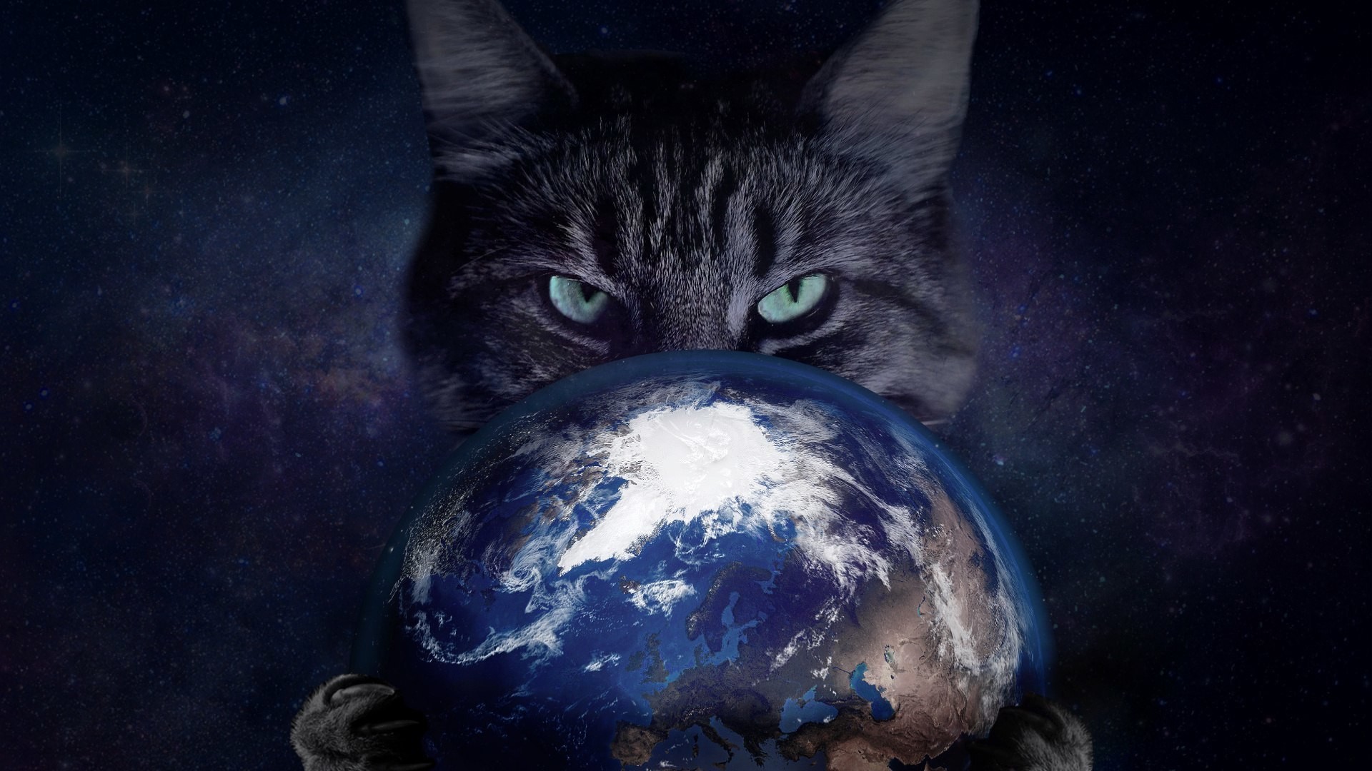 General 1920x1080 space cats Earth