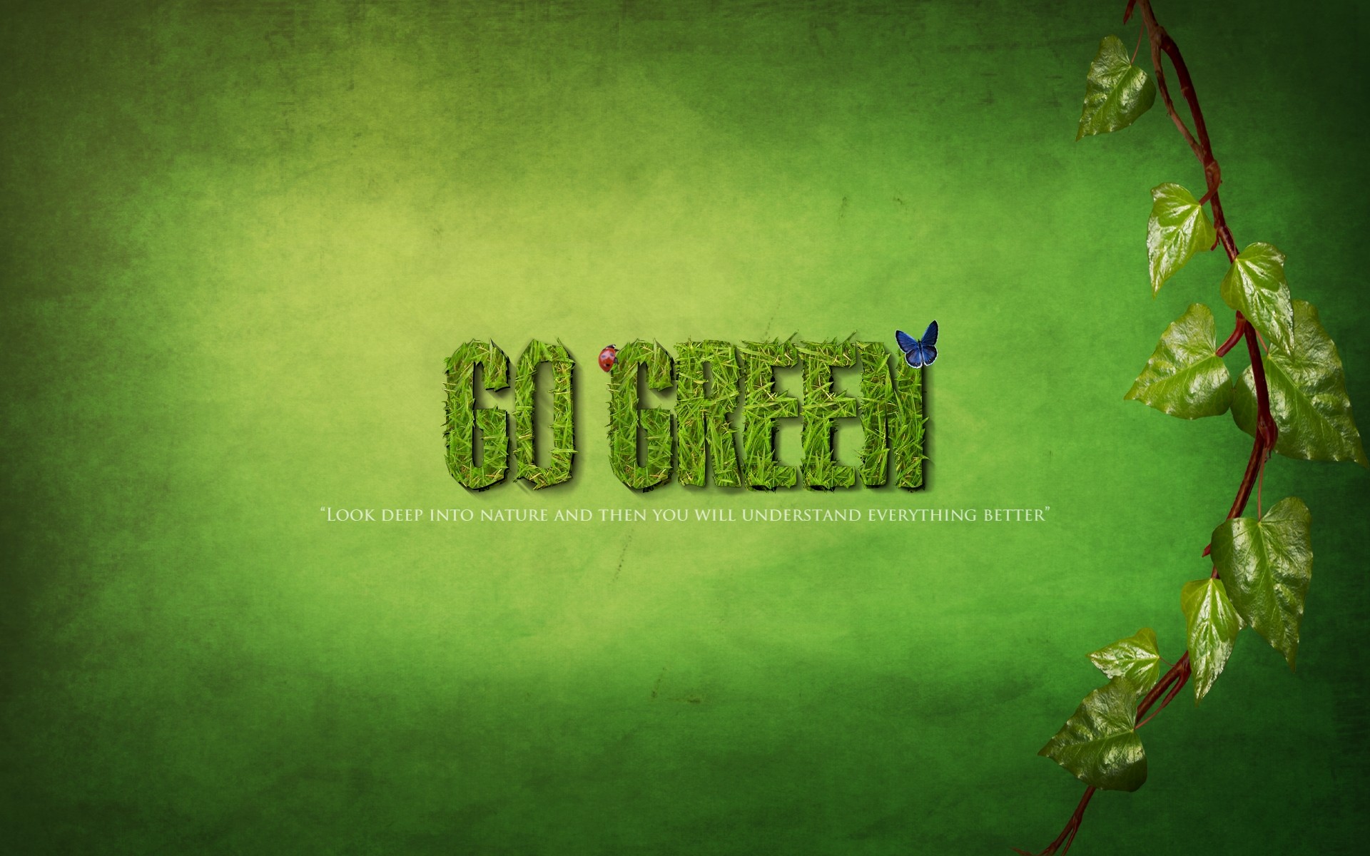 General 1920x1200 green green background leaves twigs typography ladybugs animals insect butterfly plants