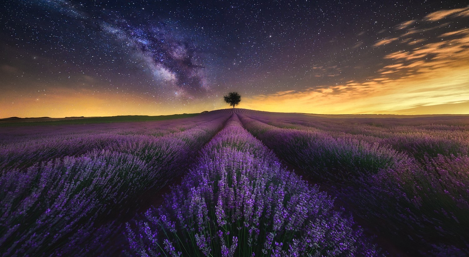 General 1500x822 photography landscape nature lavender field flowers starry night Milky Way trees long exposure lights clouds stars sky Agro (Plants) outdoors