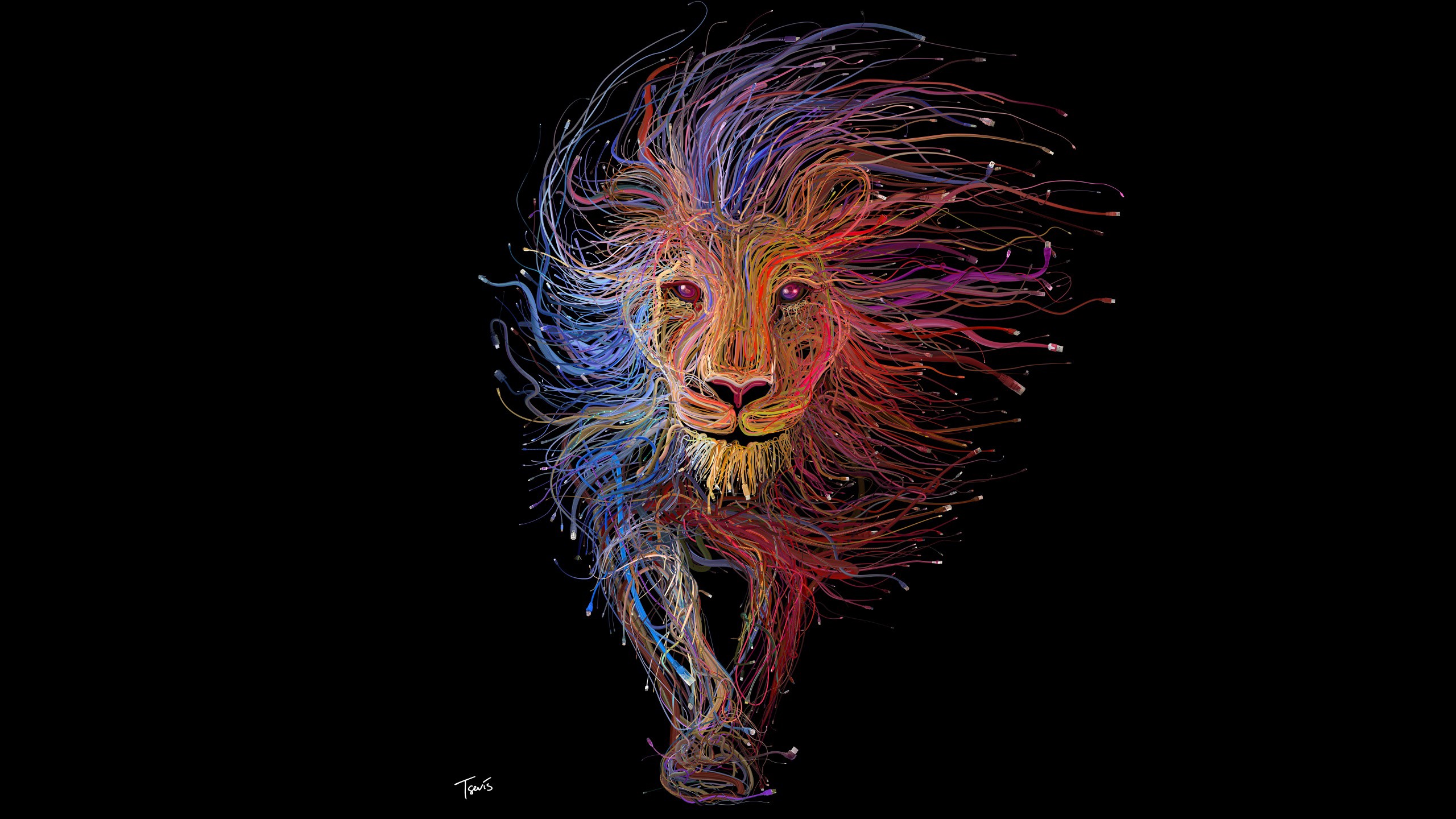 General 2560x1440 lion colorful digital art animals black background ethernet USB wires minimalism mammals