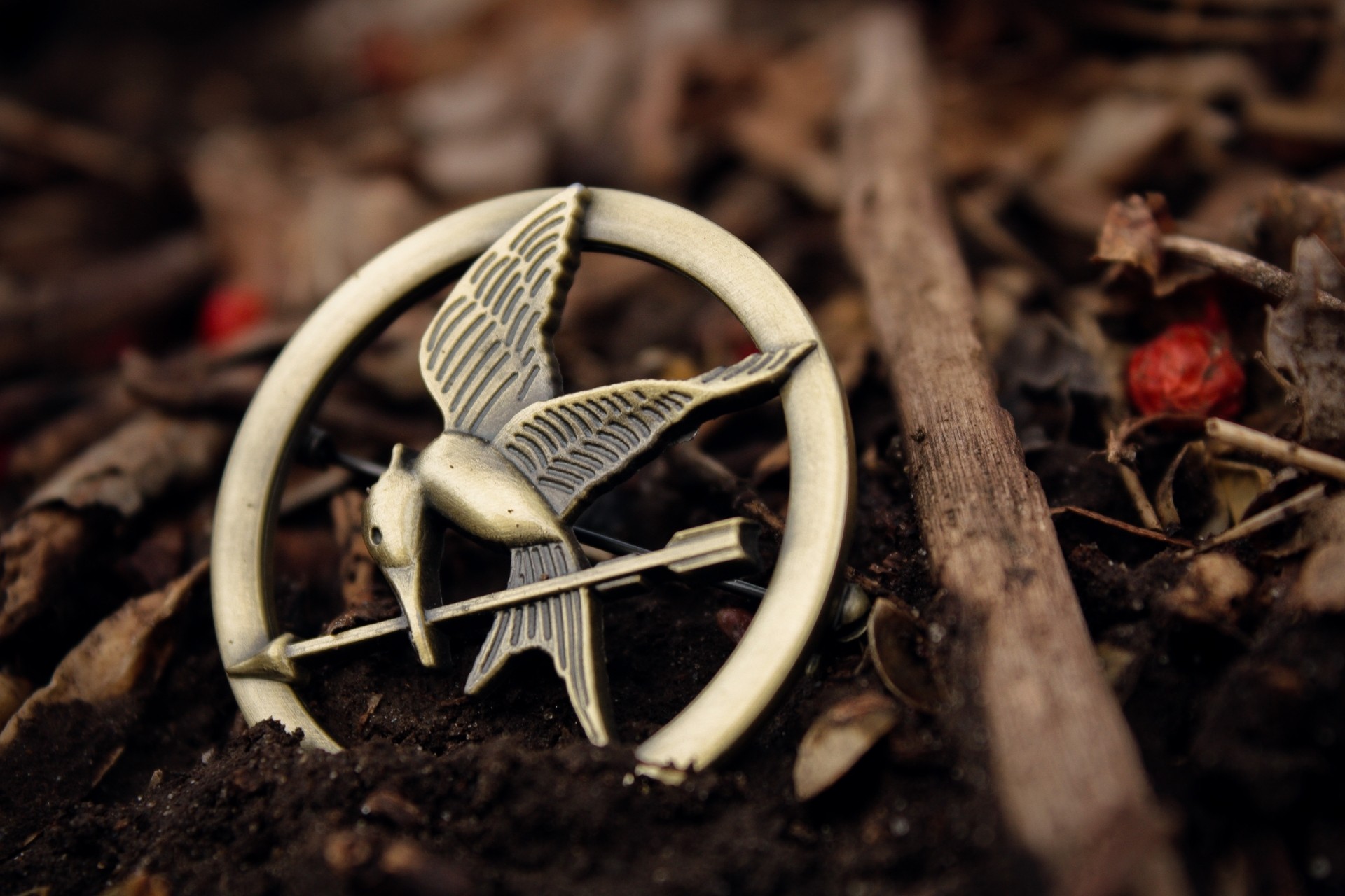 General 1920x1280 The Hunger Games ground closeup pins movies
