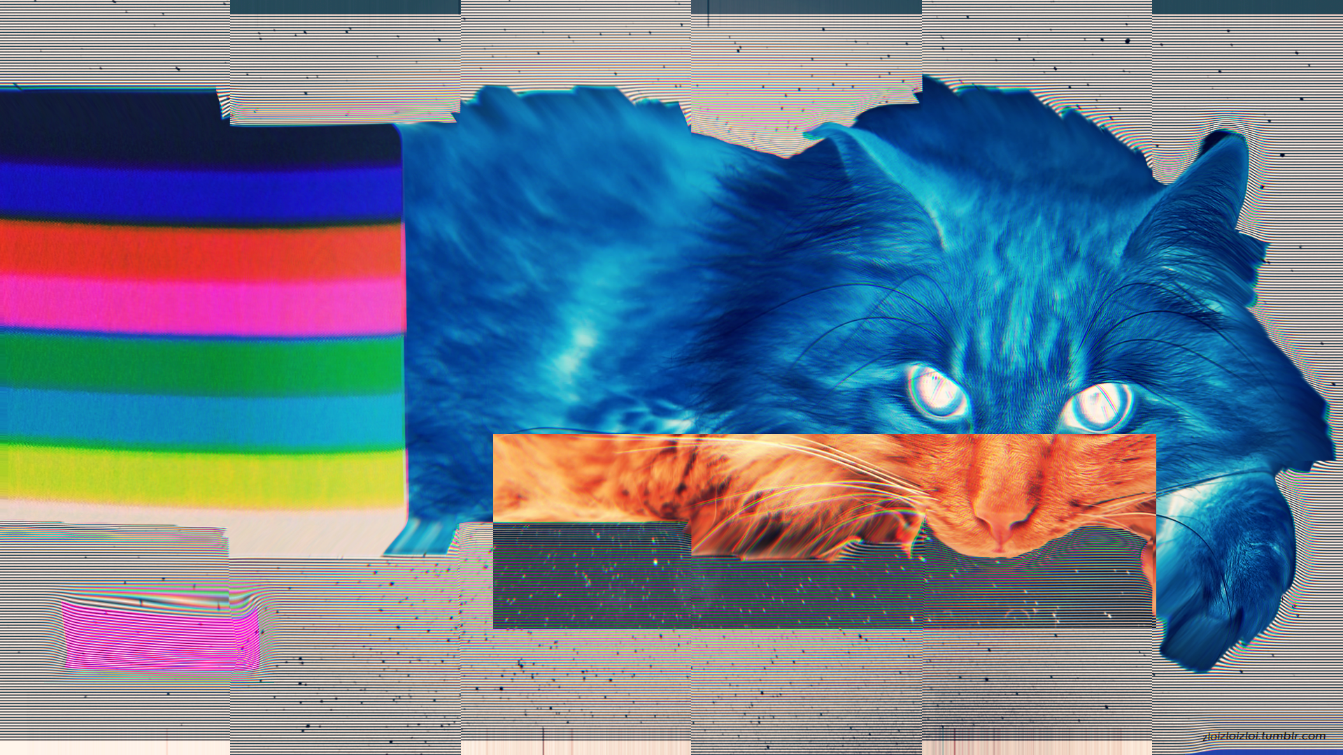 General 1920x1080 glitch art cats LSD abstract animals mammals digital art