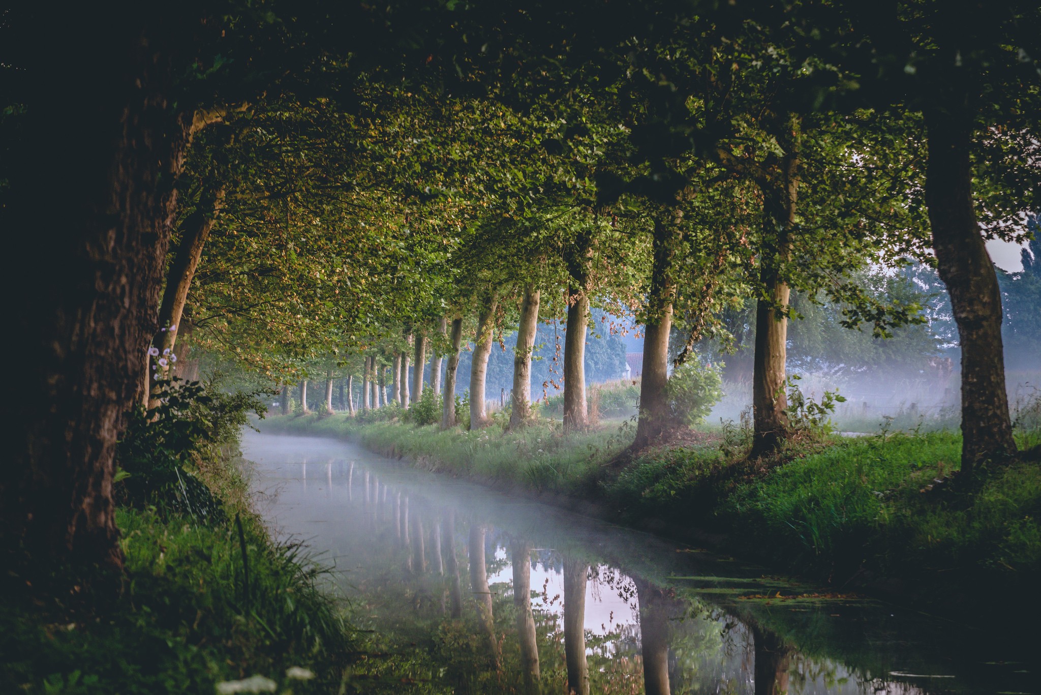 General 2048x1367 trees canal river mist morning nature
