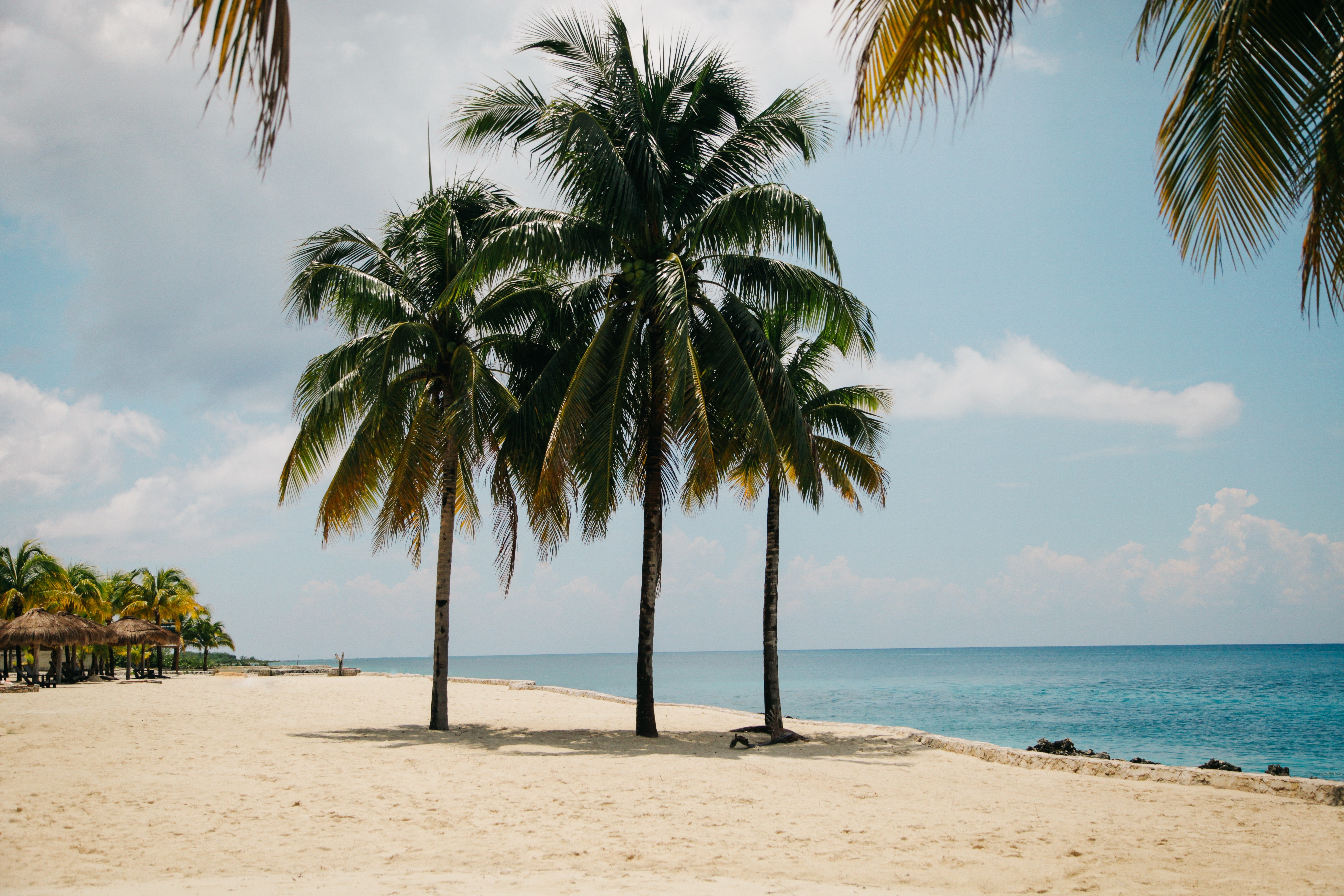 General 5616x3744 nature beach trees water palm trees sand sky