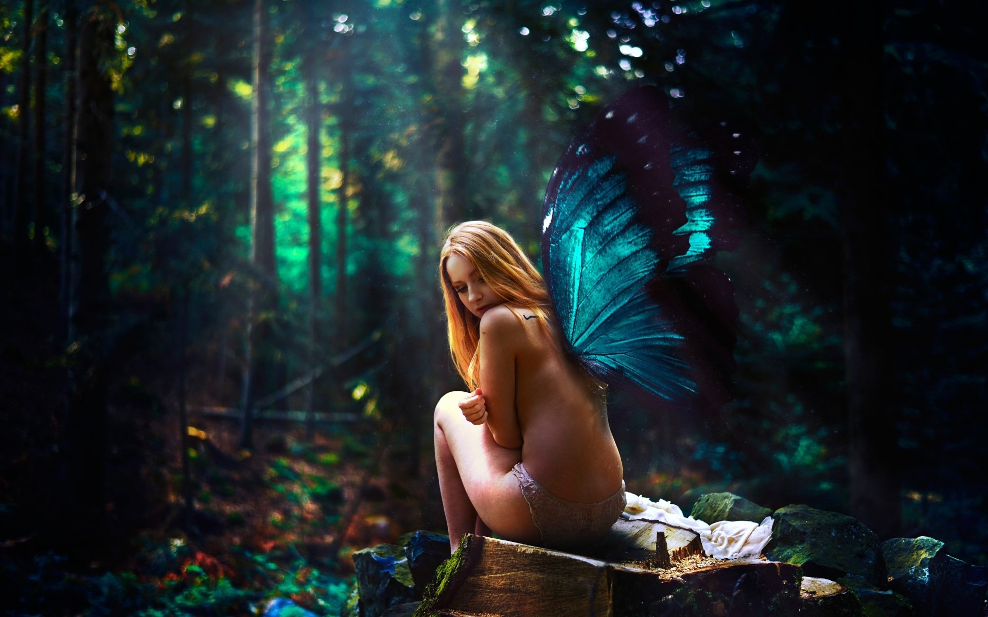 People 1920x1200 fairies fantasy girl sitting forest women digital art blonde fantasy art butterfly wings topless