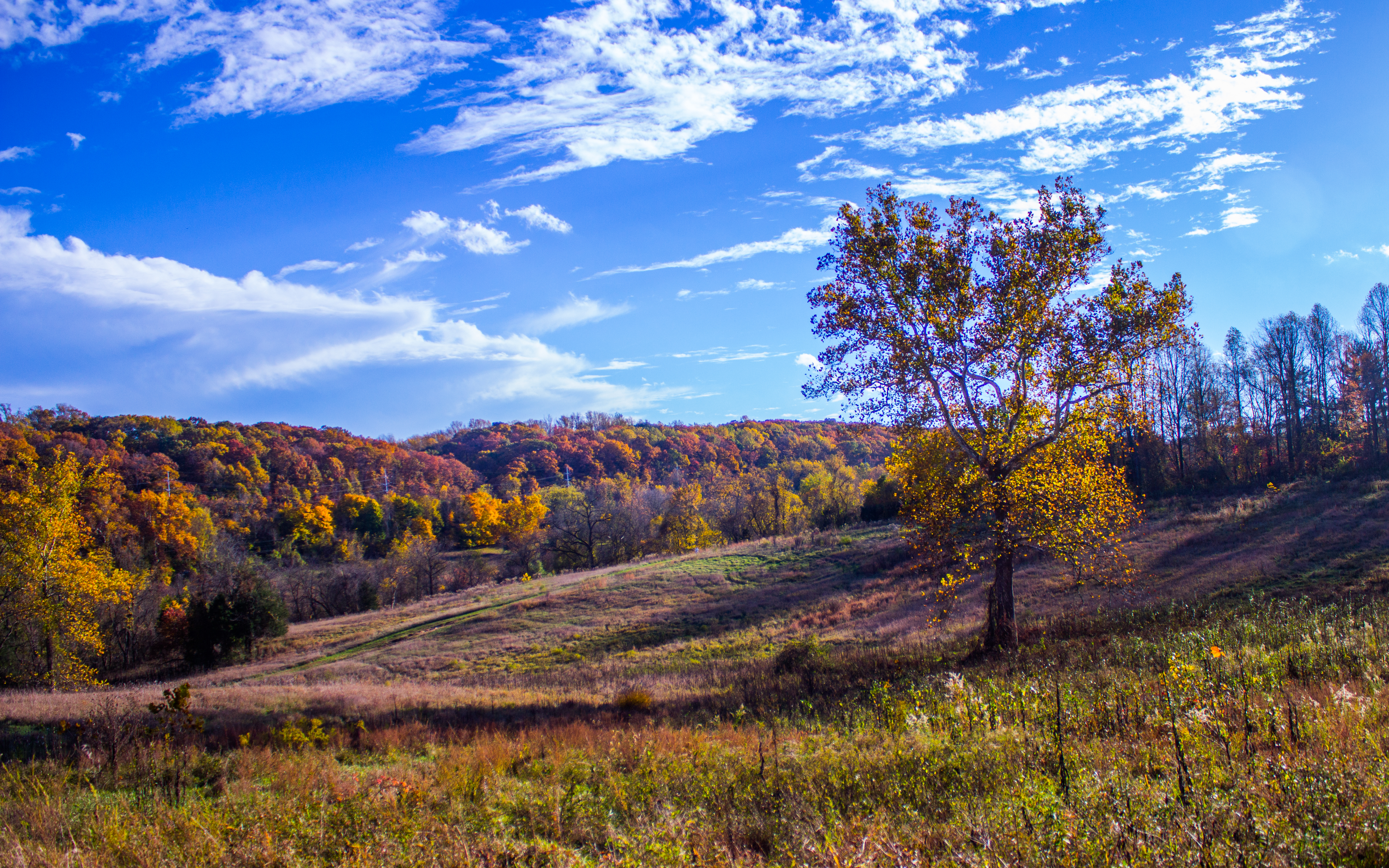 General 4731x2957 fall trees grass field forest landscape clear sky clouds nature Baltimore Cromwell Valley Park