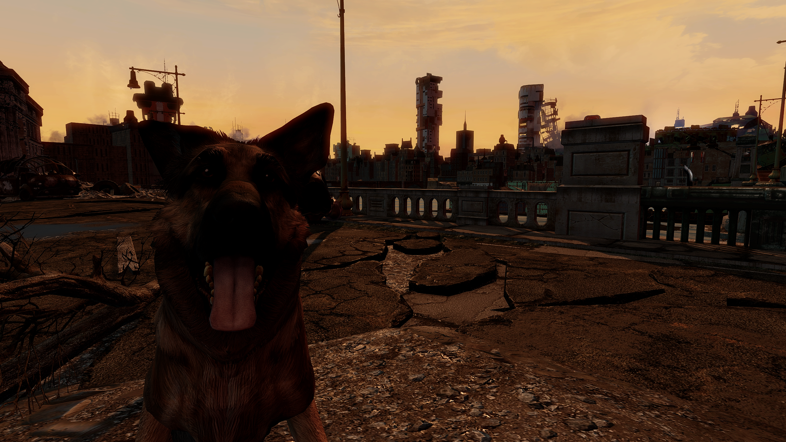 General 2560x1440 video games CGI Fallout 4 Dogmeat Bethesda Softworks dog animals video game art sunset sunset glow clouds sky tongues