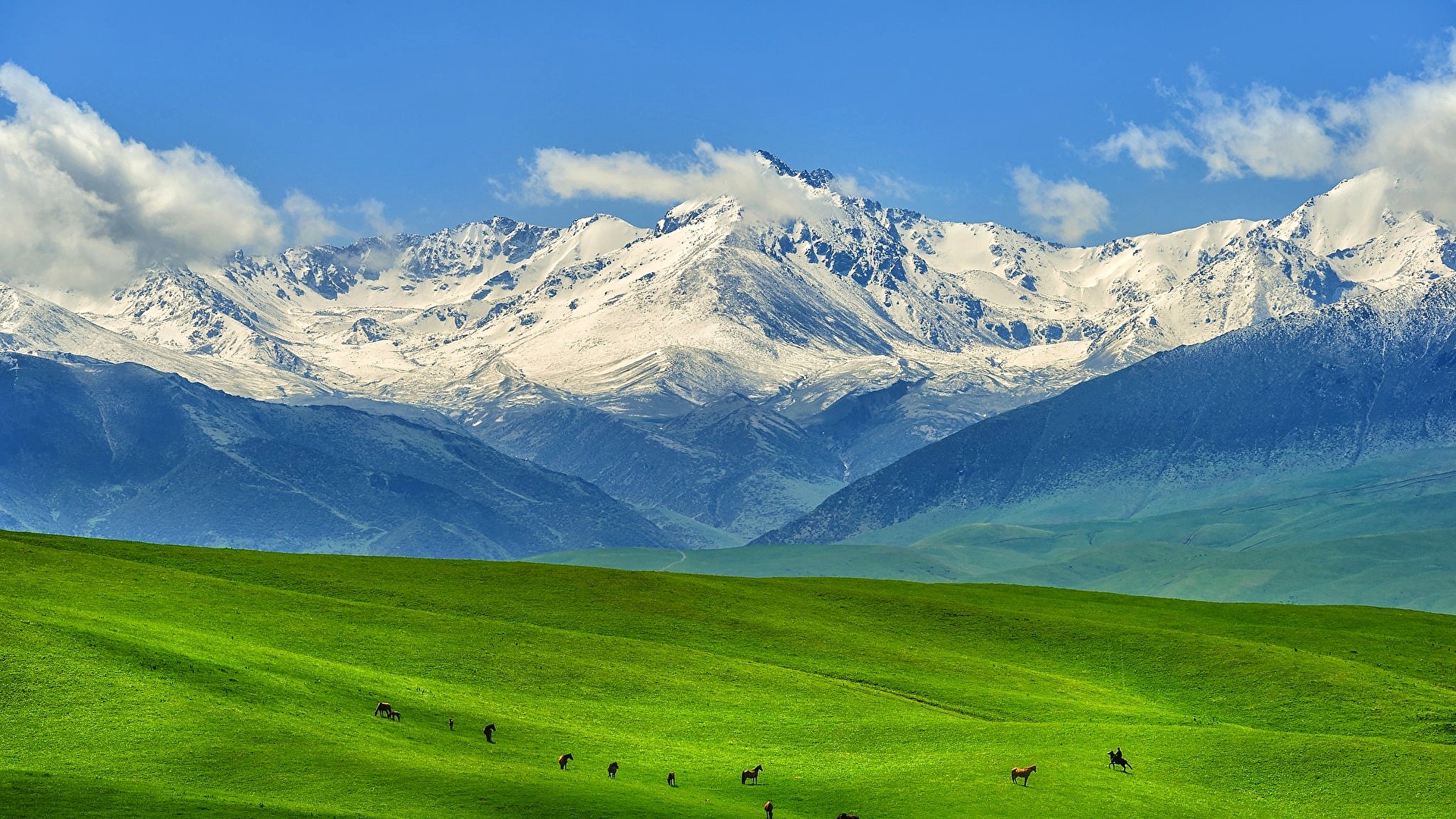 General 1920x1080 mountains horse snowy peak Kazakhstan clouds morning spring Spring Mountains summer blue green horse riding photography nature grass snow