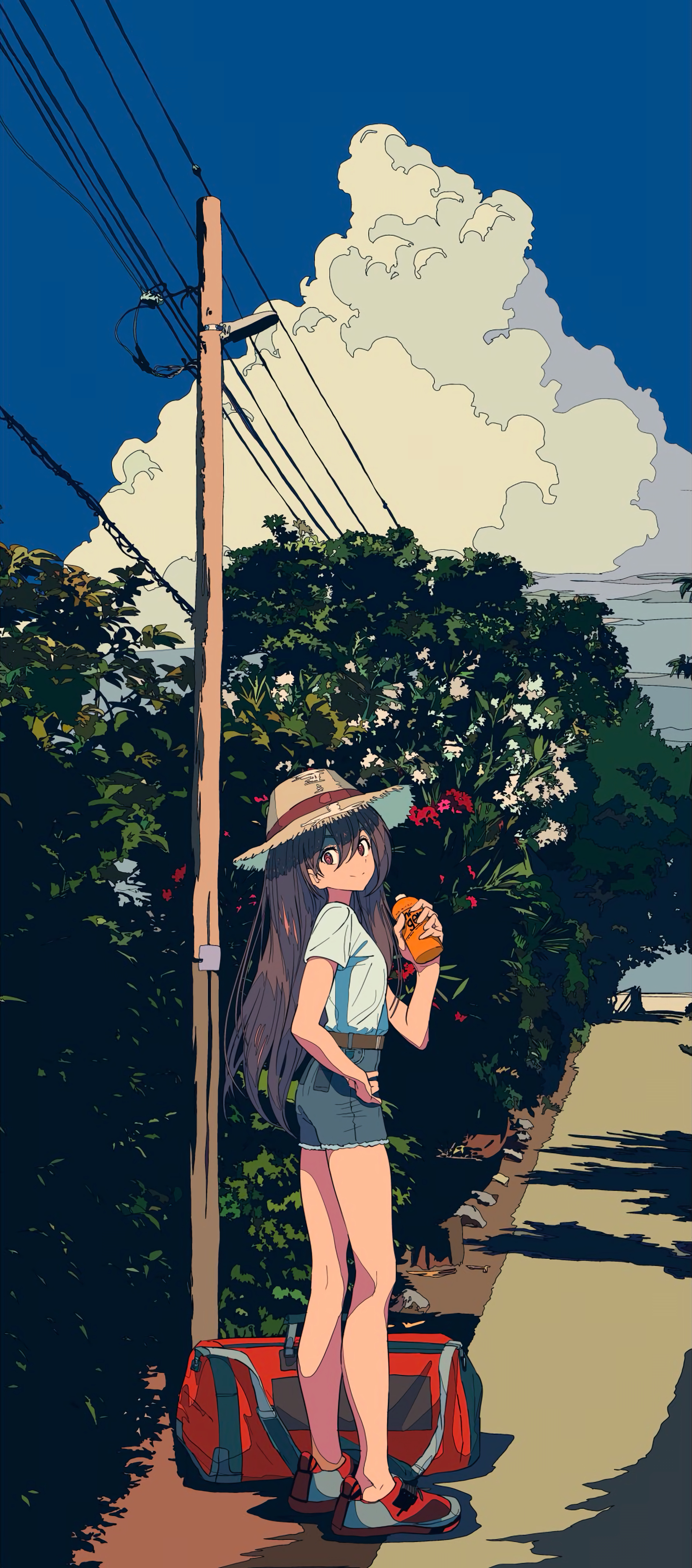 Anime 1809x4096 Cogecha anime anime girls portrait display long hair hat sky looking at viewer clouds smiling straw hat shorts standing
